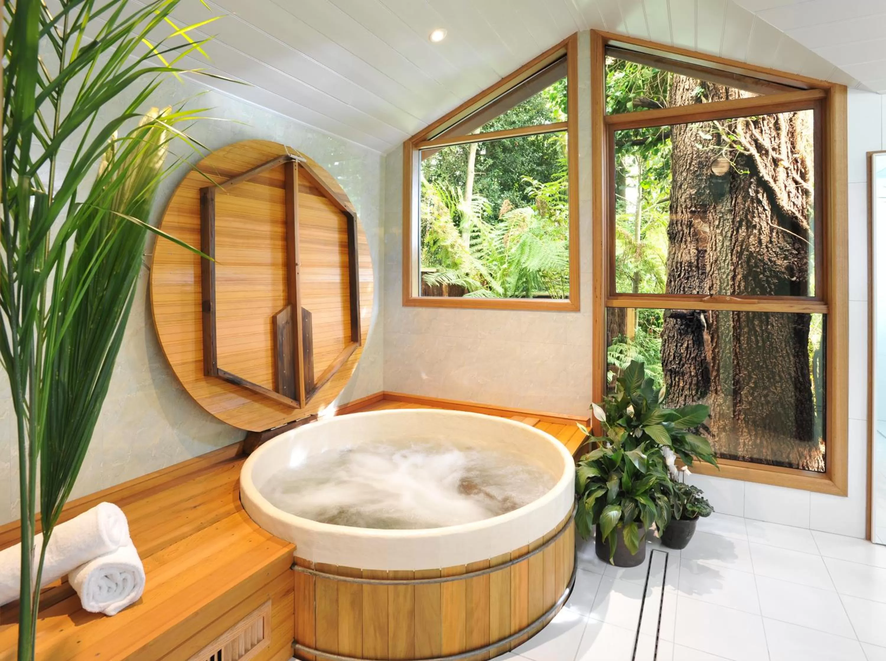 Area and facilities, View in Arcadia Cottages