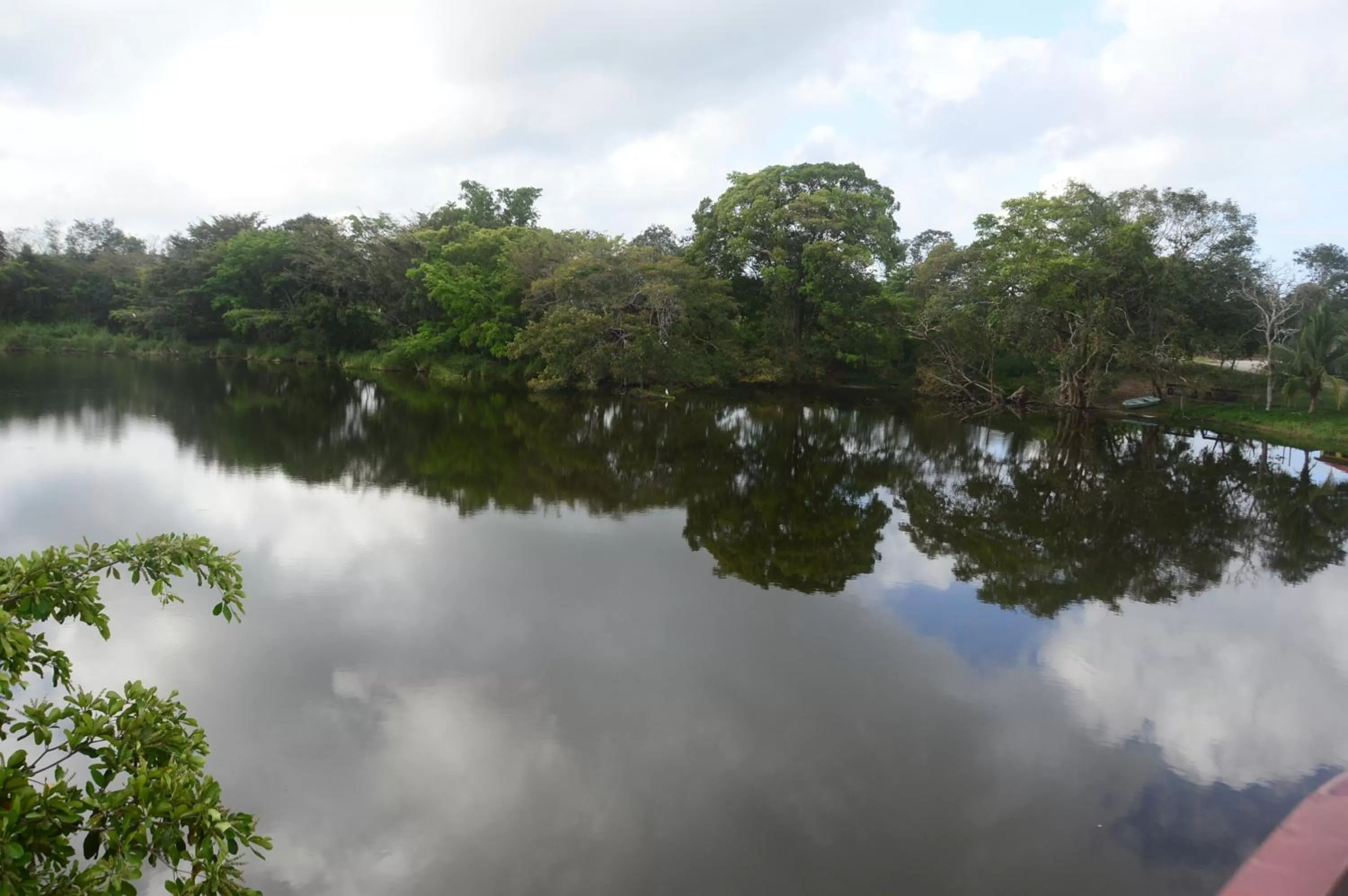 View (from property/room) in Lamanai Hotel & Marina