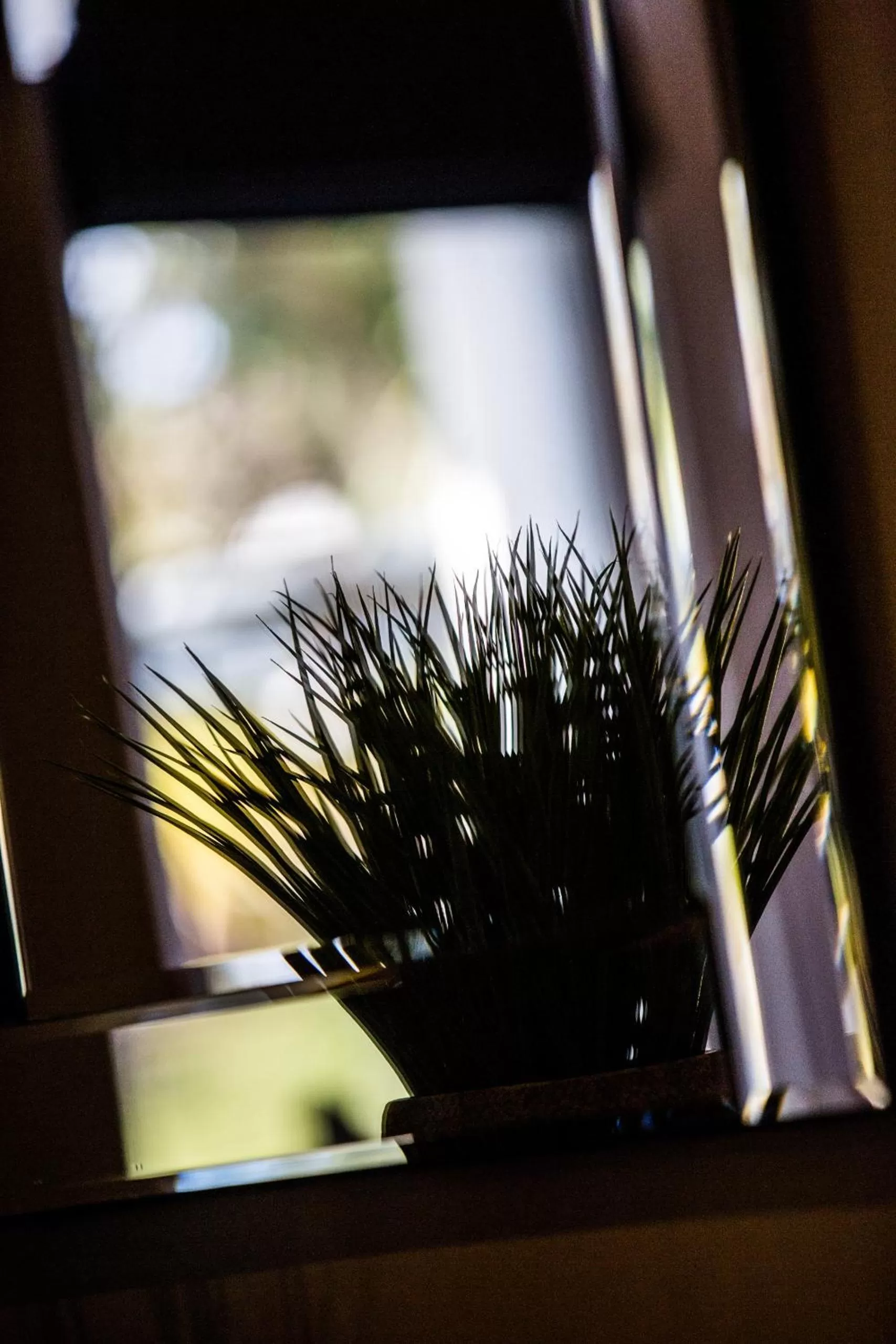 Other in No5 Durley Road - Contemporary rooms and suites - no food available