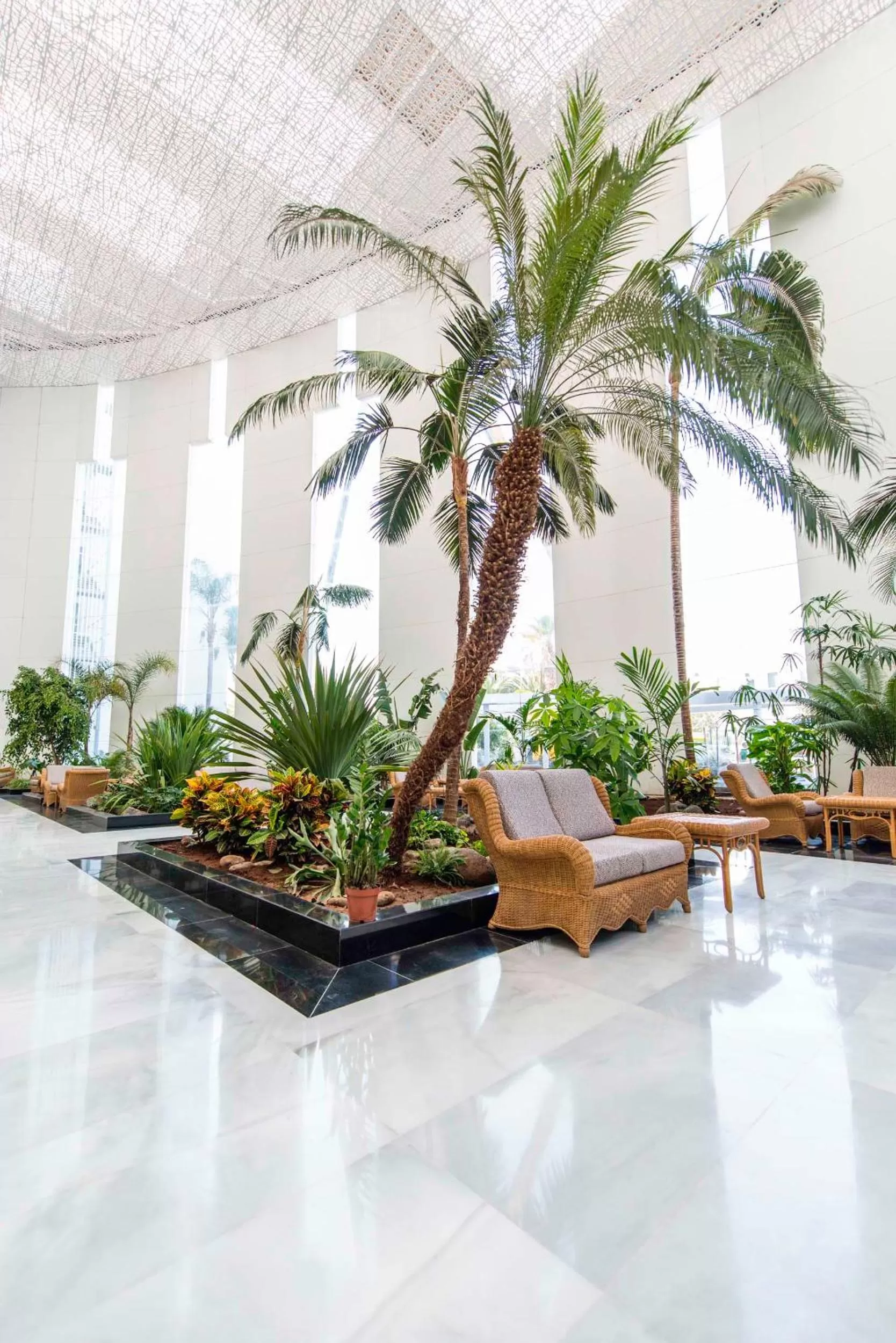 Lobby or reception in Spring Hotel Vulcano