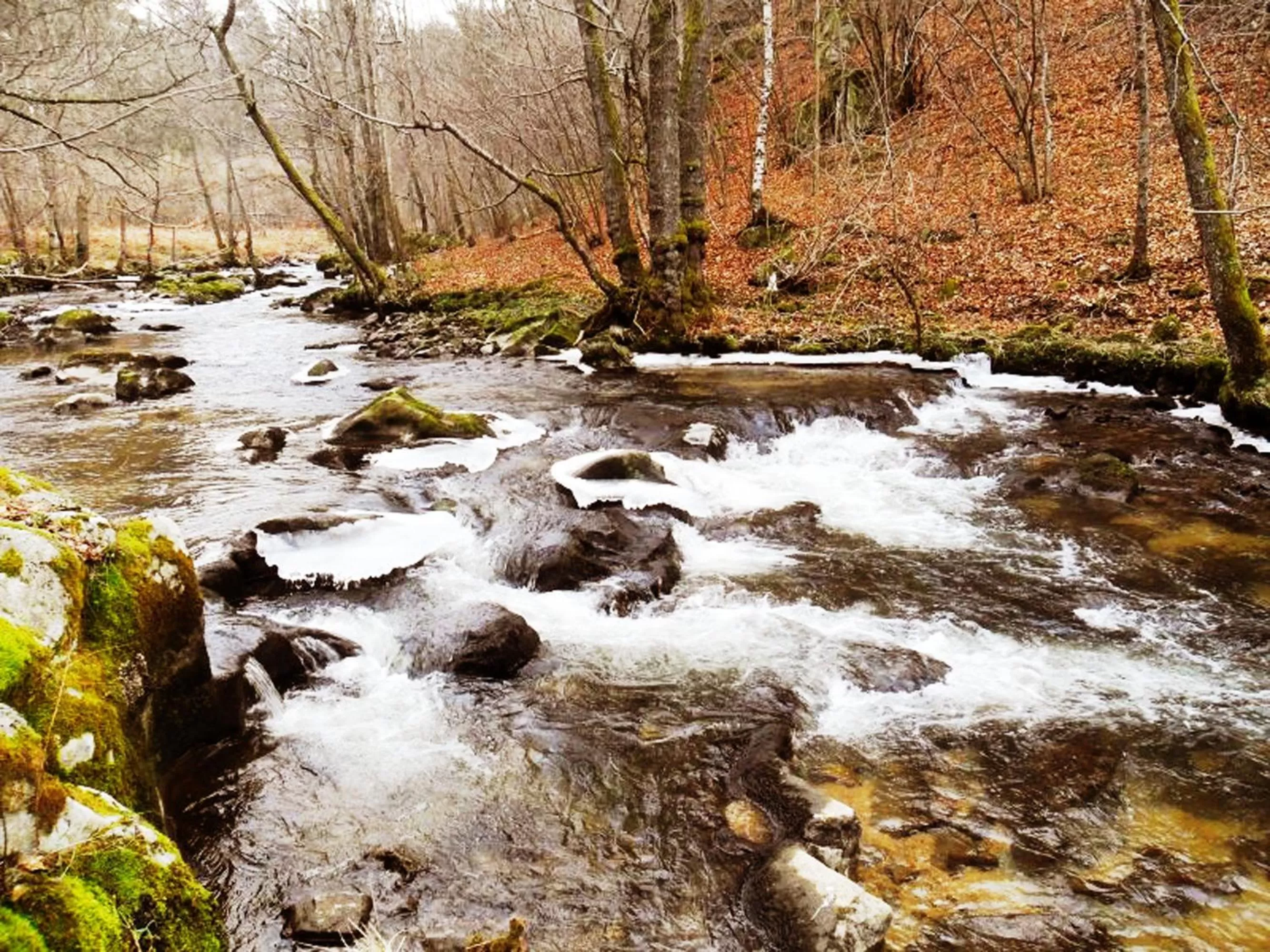 Area and facilities in Chez Martine et Philippe en Velay