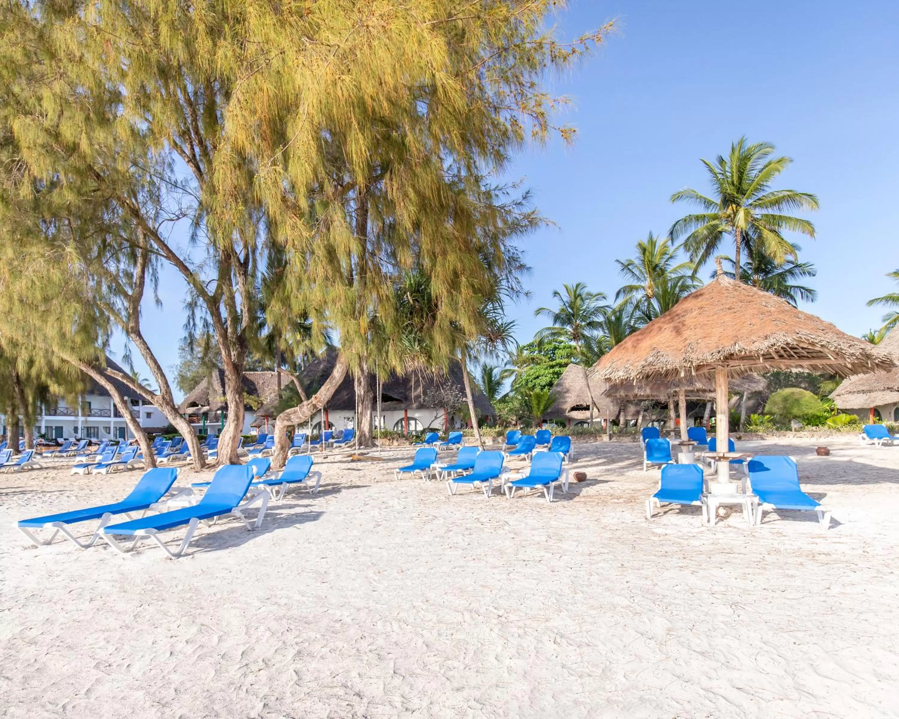 Beach in Kiwengwa Beach Resort