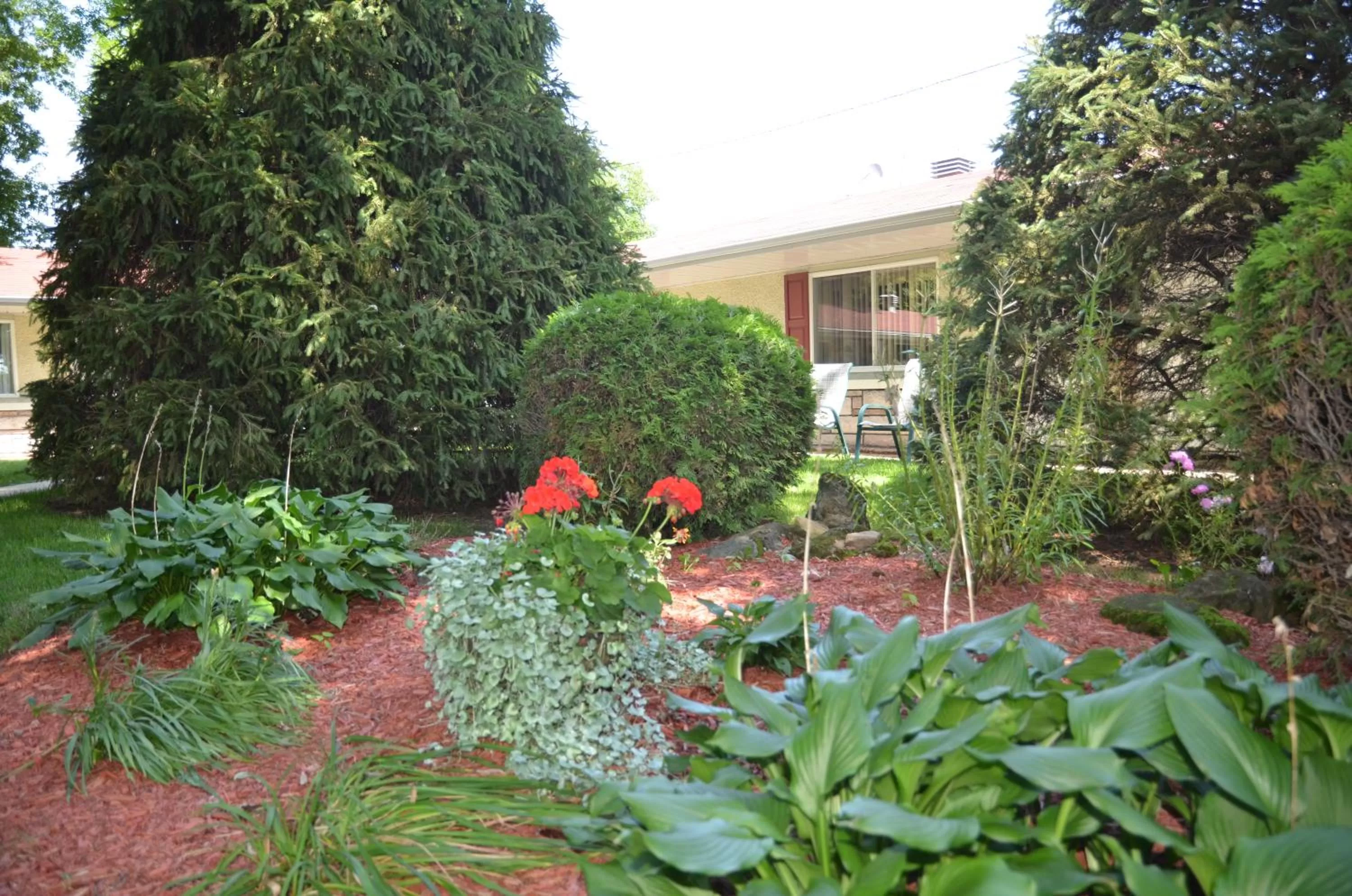 Garden view in Motel Derfal