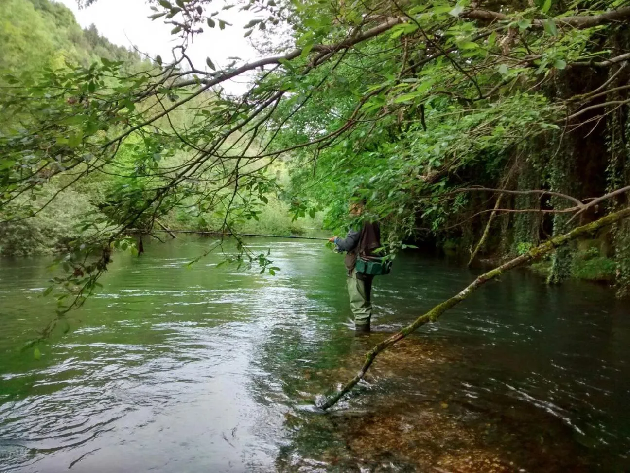 Fishing in Pineta Nature Resort - Wellness & SPA