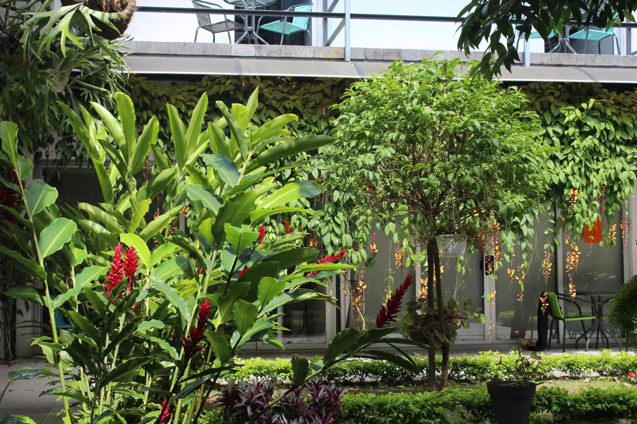 Cando Living Apartments in Central Avenue