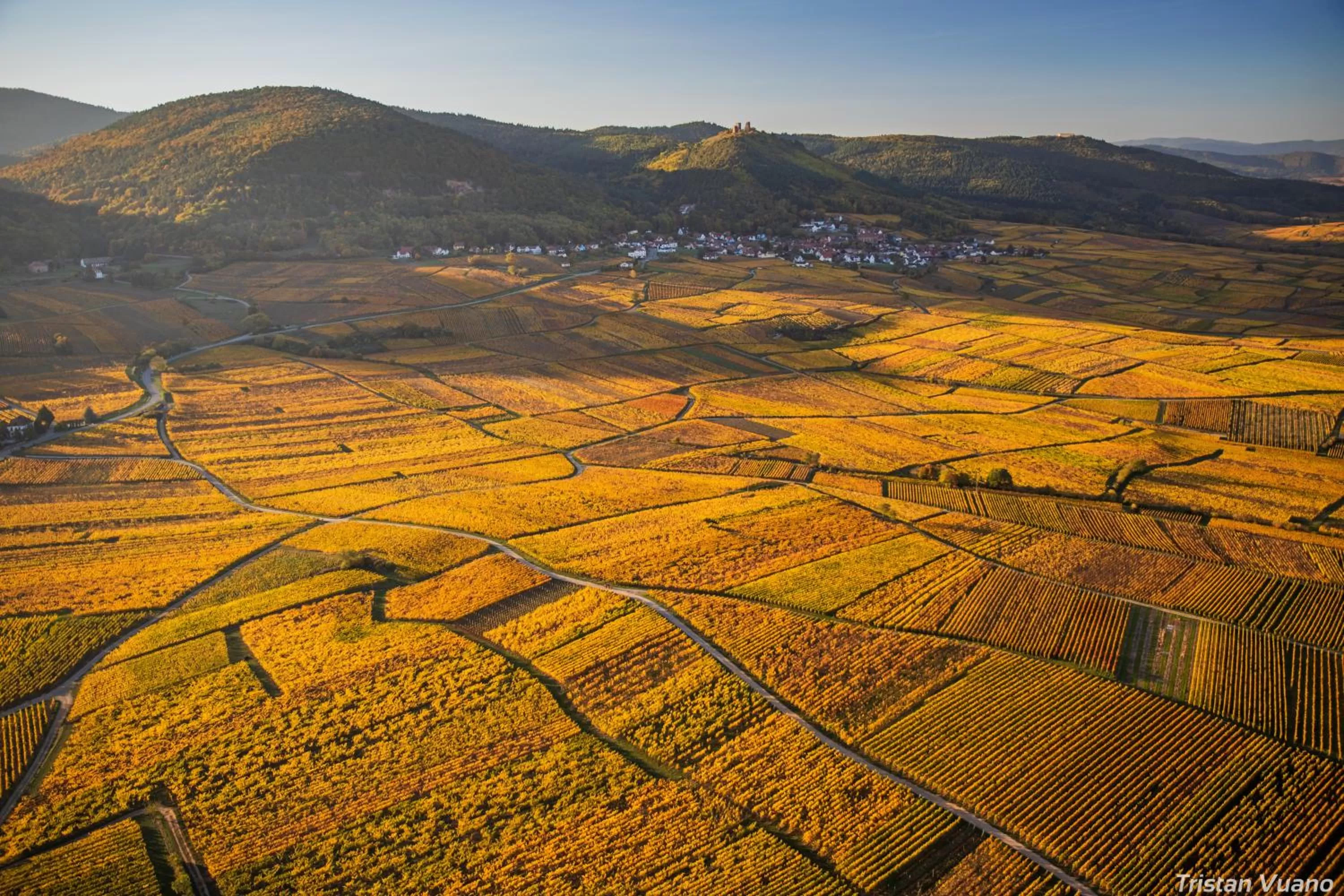 Natural landscape in Hotel SPA Husseren Collections - Proche Colmar - Eguisheim