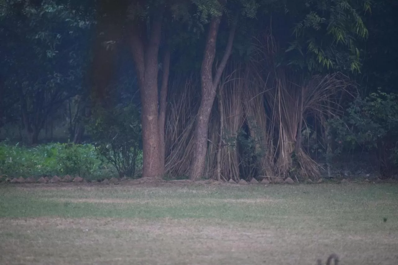 Sultan Bagh Resort by The Sky Imperial