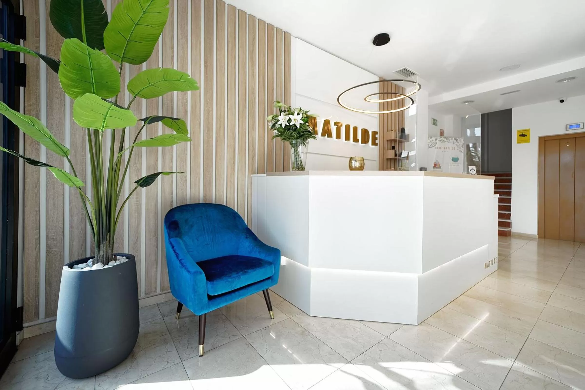 Lobby or reception in Hotel Matilde by Grupo Matilde