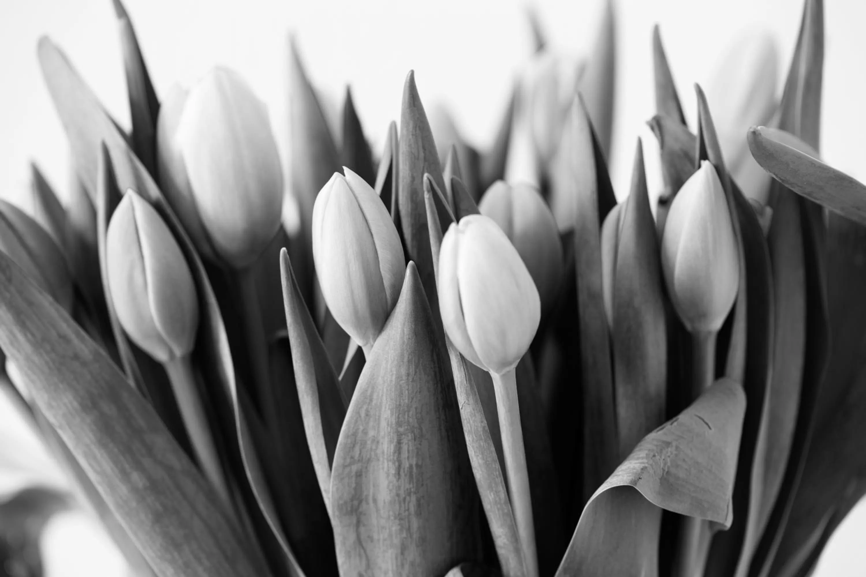 Other in Am Pavillon Bed & Kitchen