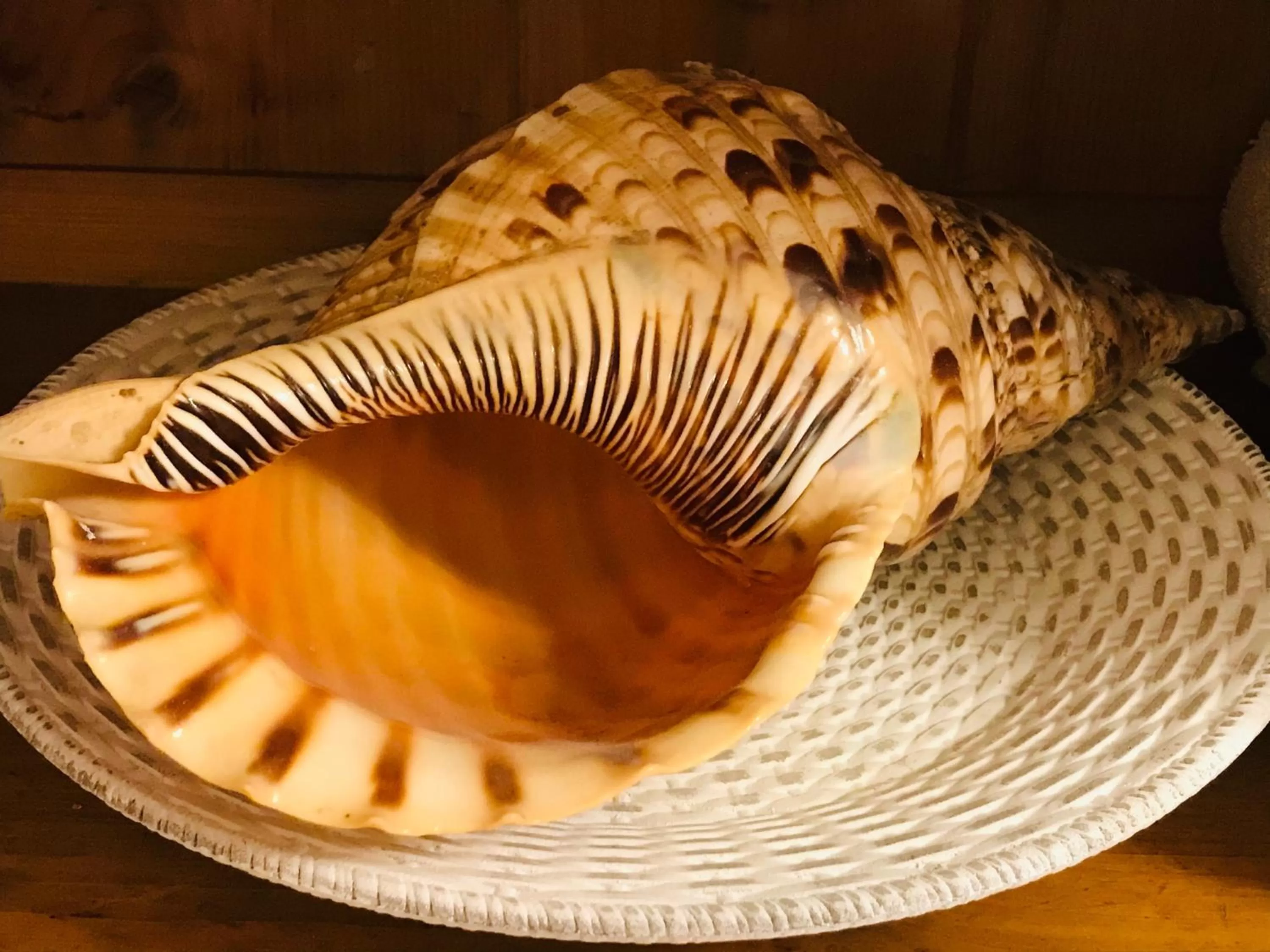 Food in Bed and Breakfast Bavaria München