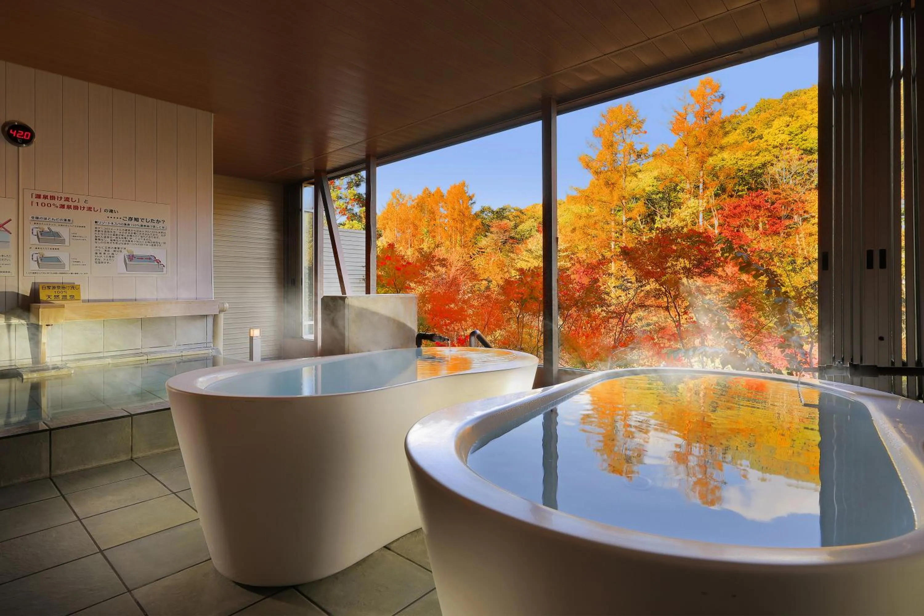 Hot Spring Bath in Hotel Ryu Resort and Spa
