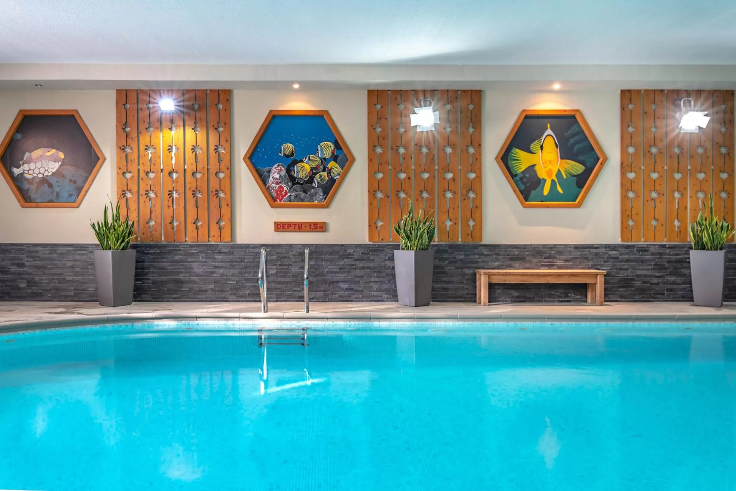 Activities in Hotel Les Arolles