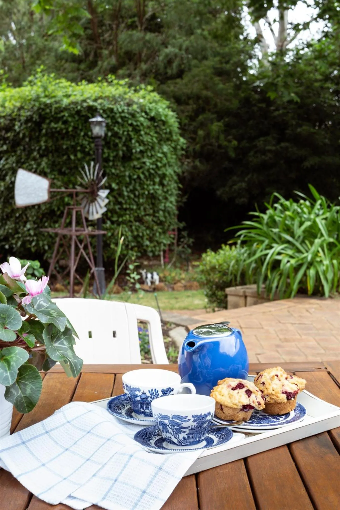 Garden in The Noble Grape Guesthouse