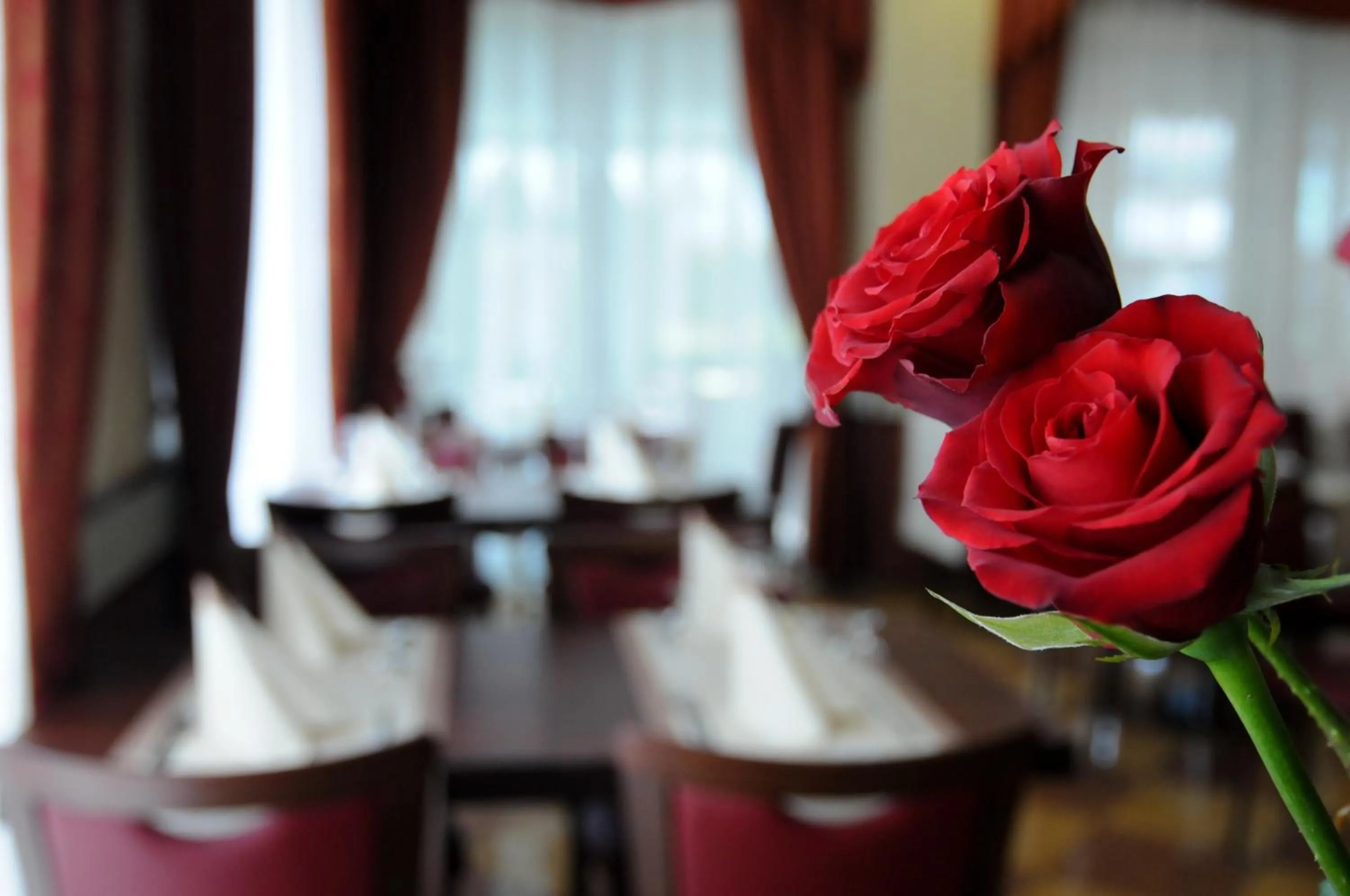 Restaurant/places to eat in Hotel Dei Platani