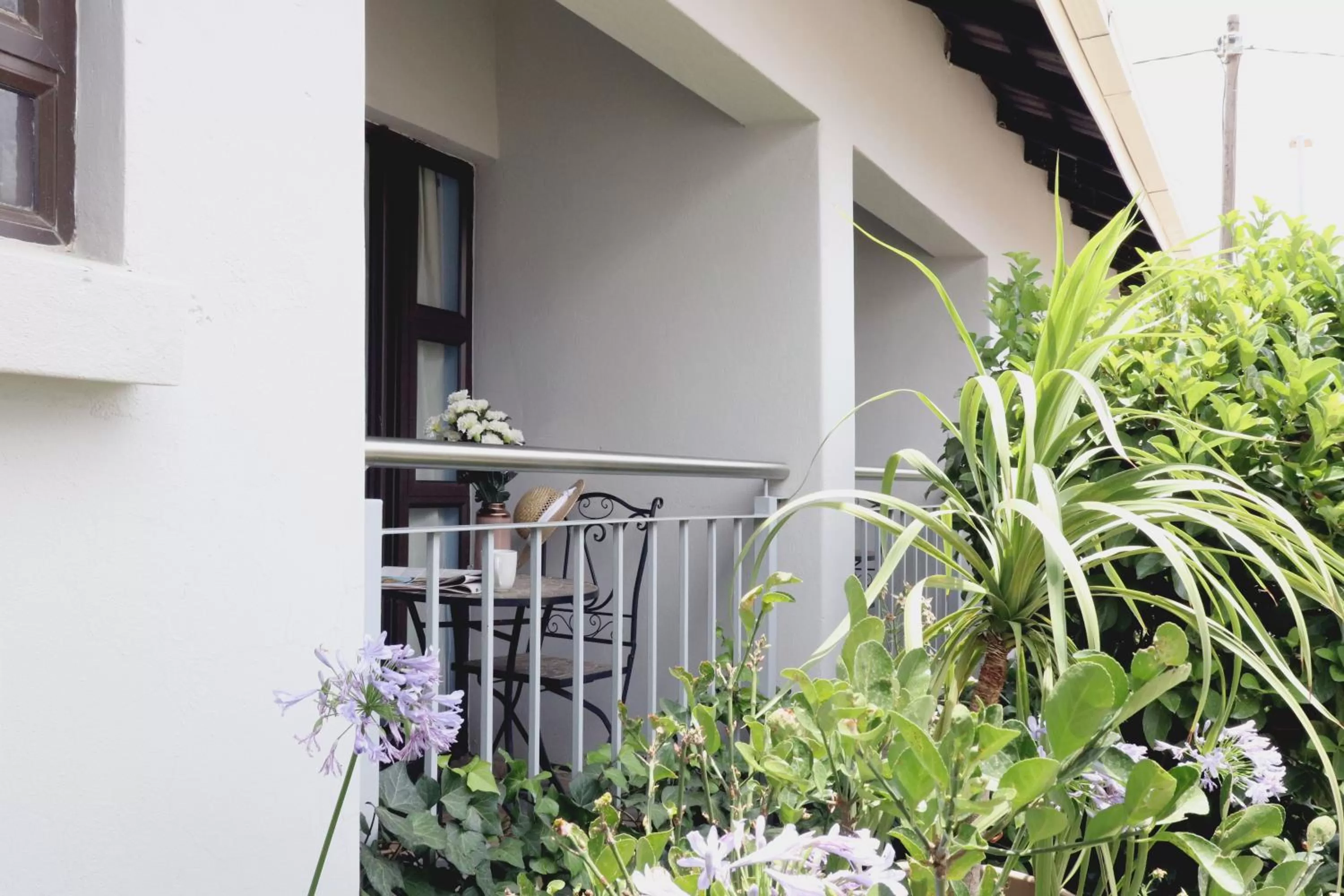 Patio, Balcony/Terrace in Tribute Guest House Matala