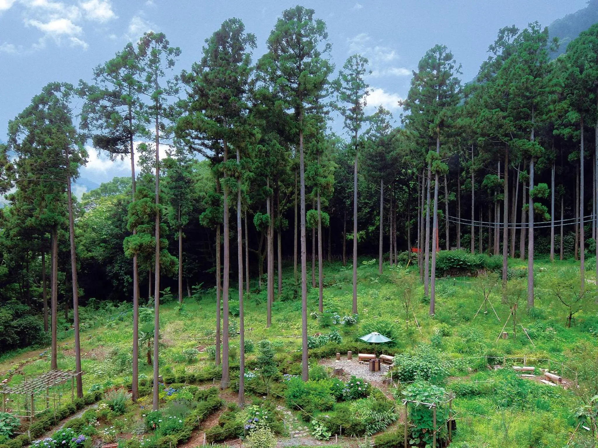 Garden in Hakonenomori Okada