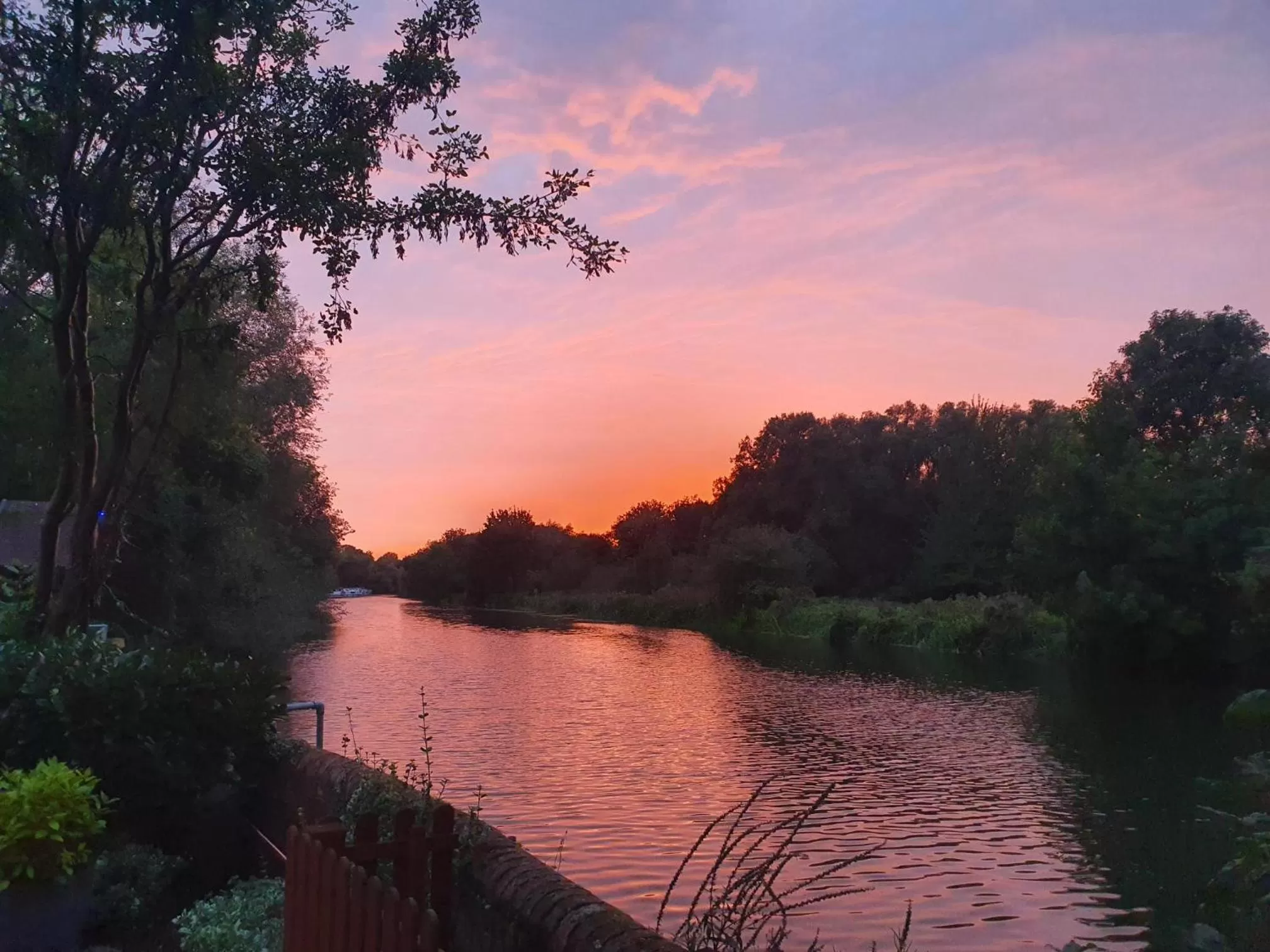 River view in The Kingfisher