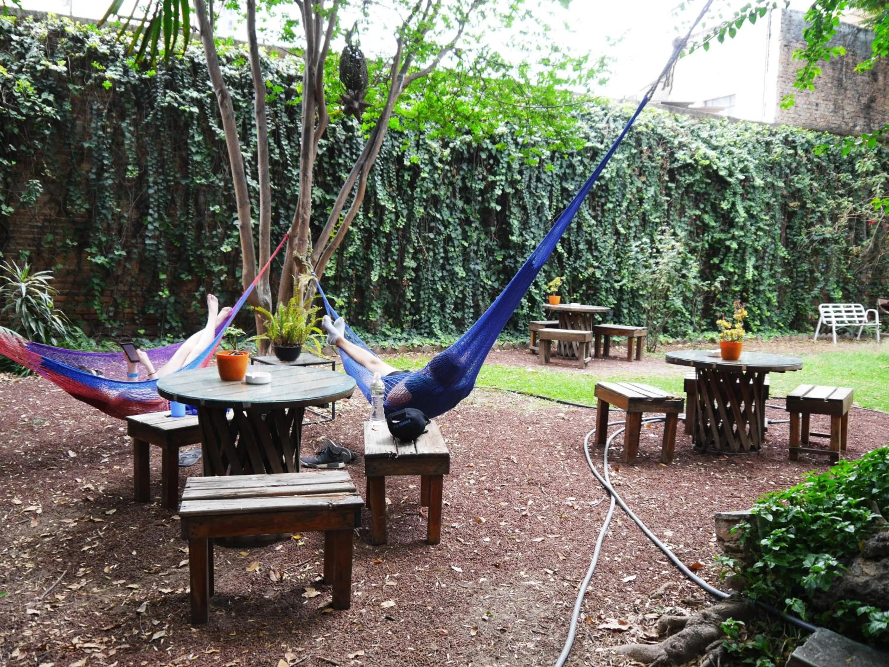 Garden in Hostel Hospedarte Chapultepec