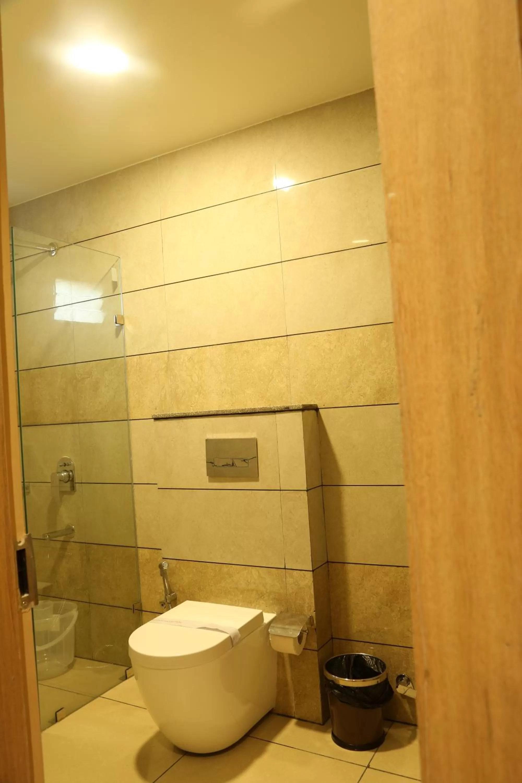 Shower in Hotel Reva Regency