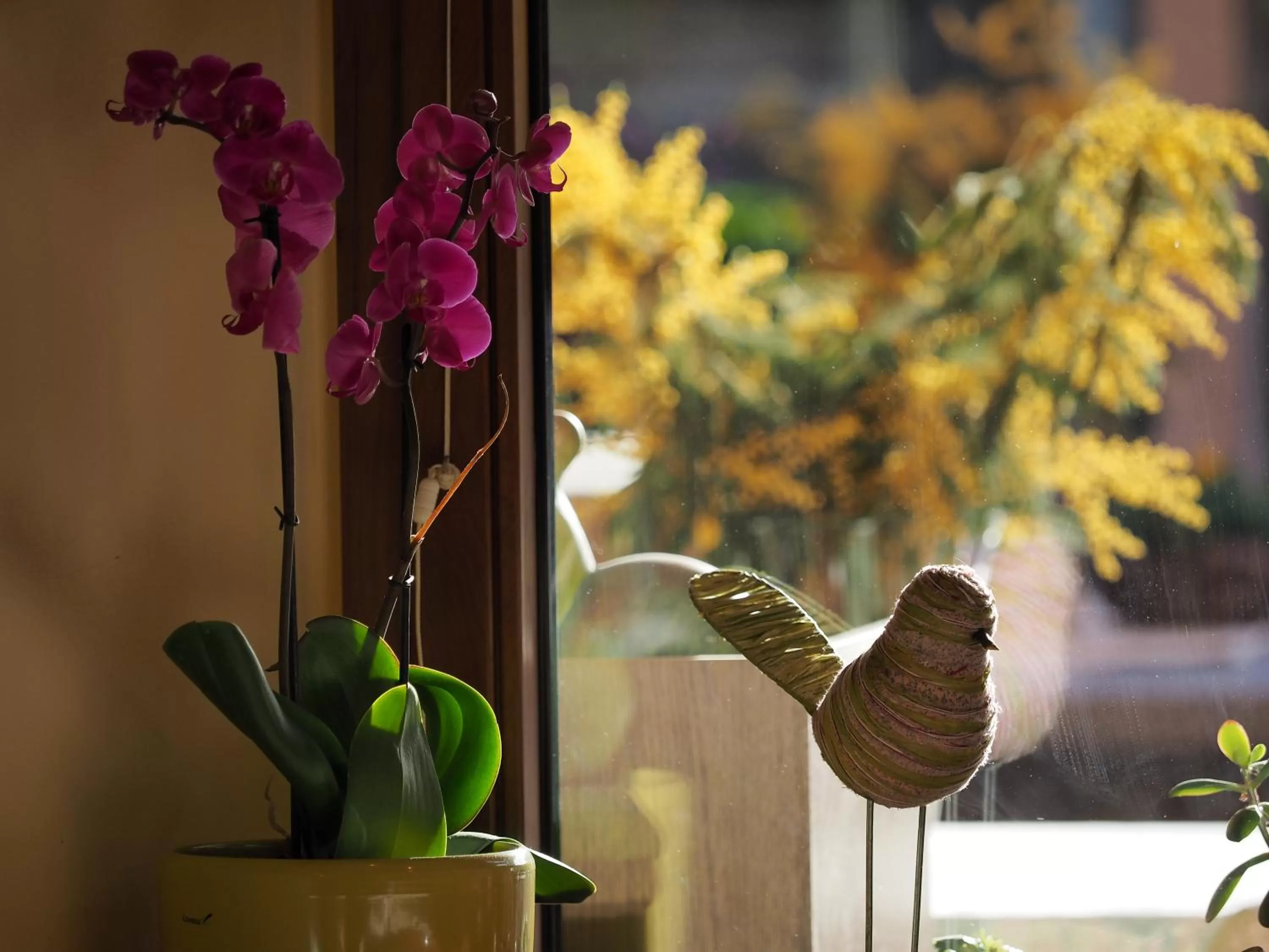 Decorative detail, Other Animals in Ristorante Charme Hotel Tre Terre