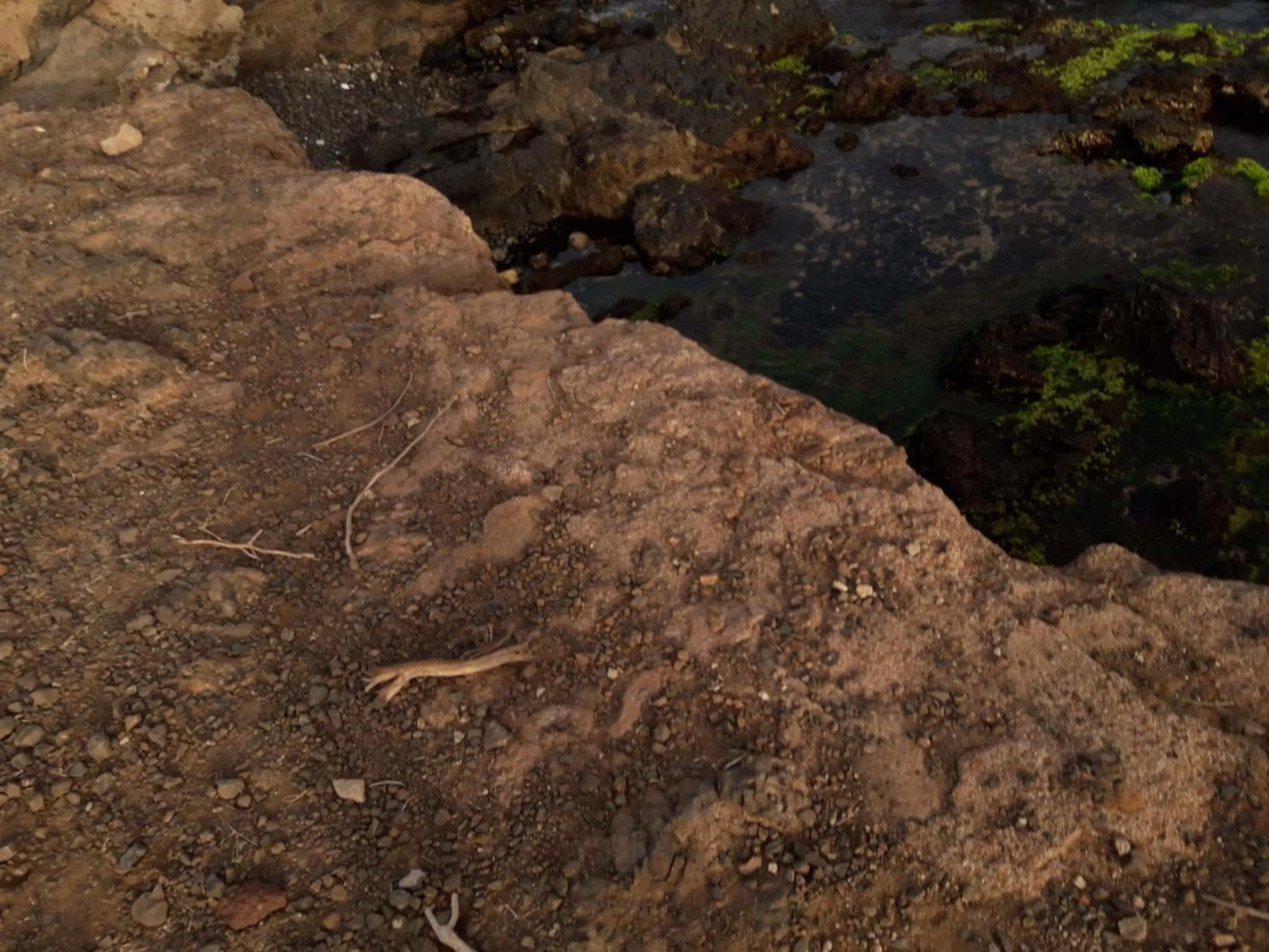 Beach in LT Aparthotel