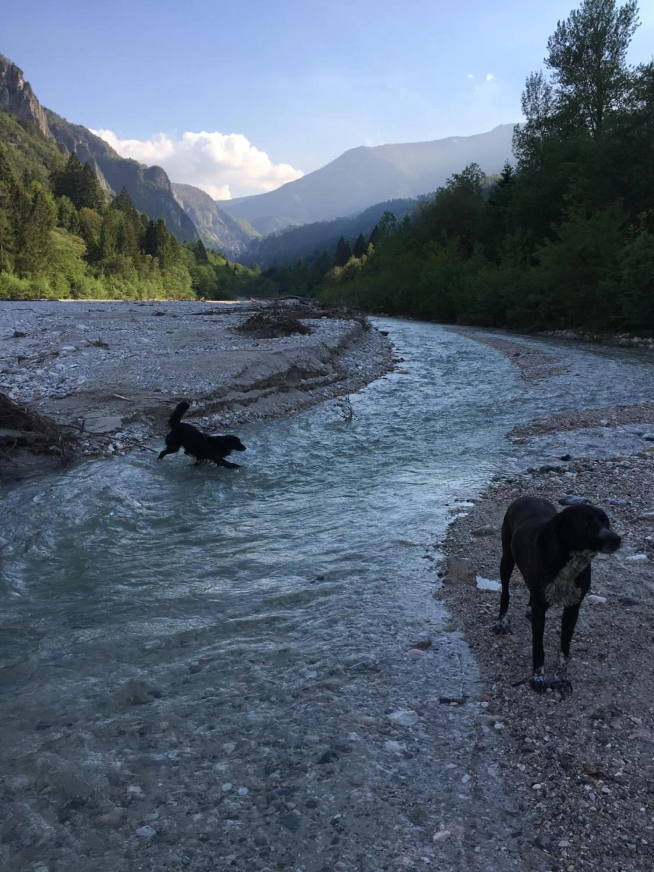 Natural landscape in Agritur Airone Bed & Camping