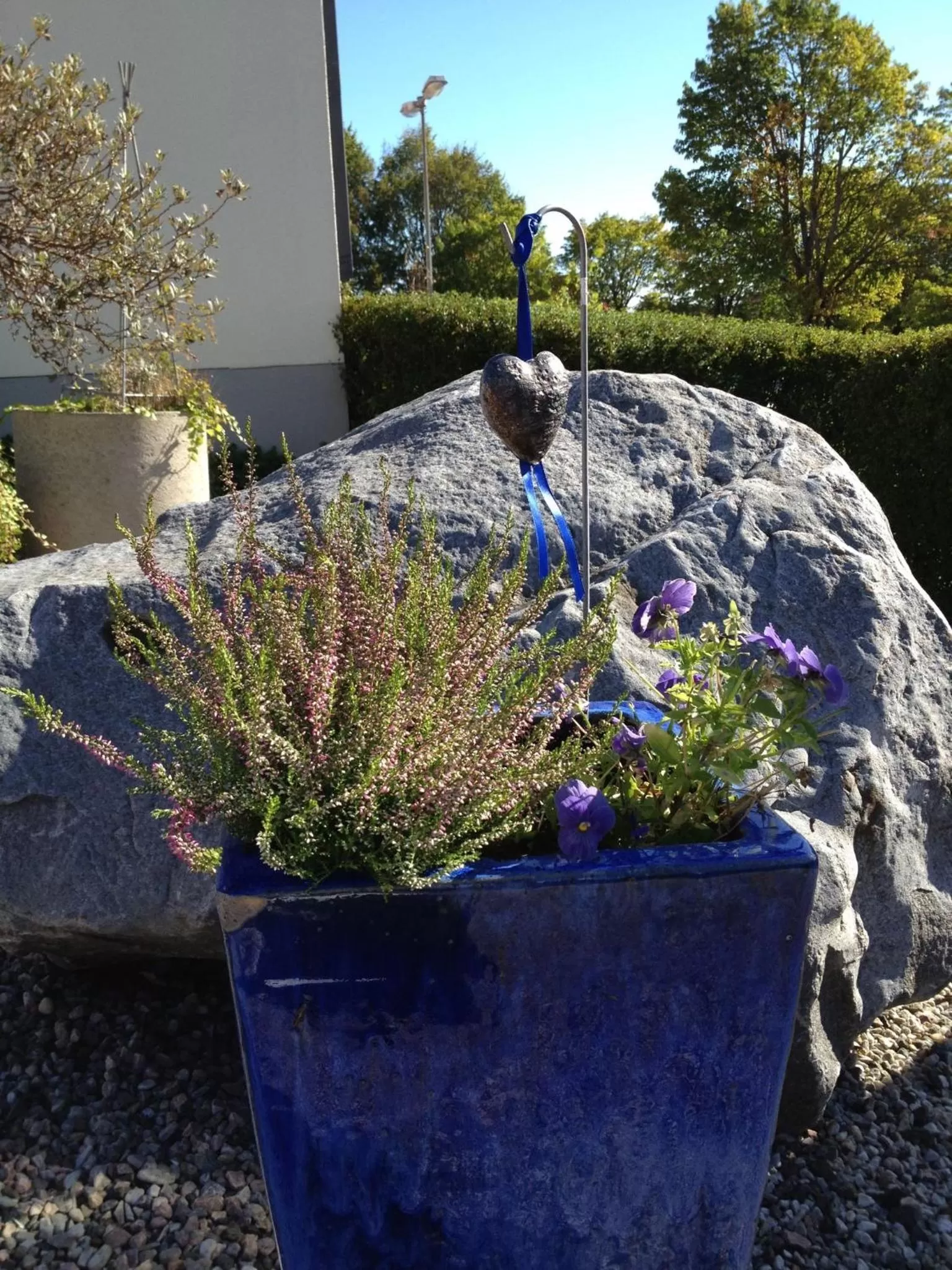 Garden in Aurora Bed & Breakfast