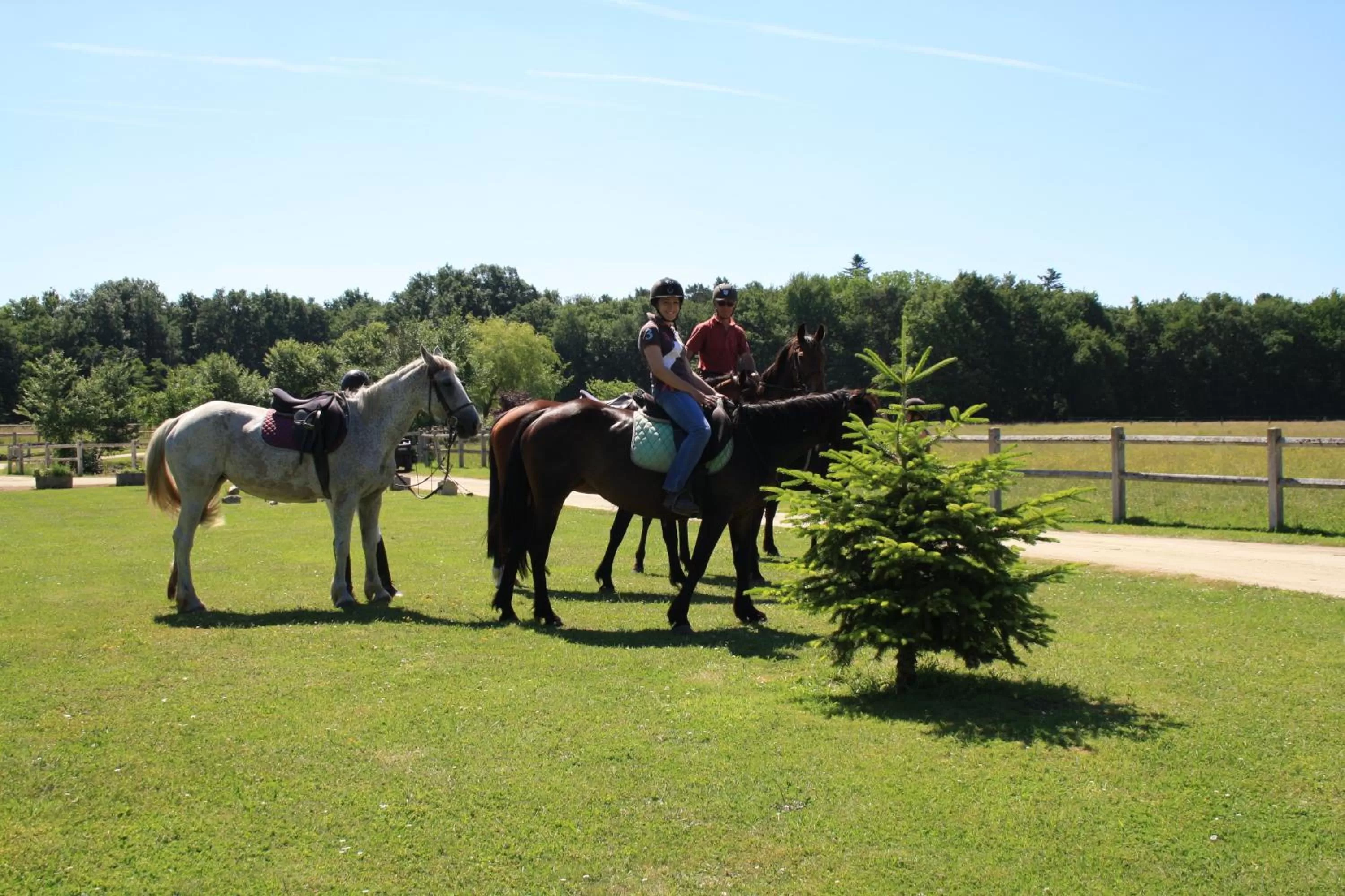 Garden in Chambres et Table d'Hôtes Les Machetières
