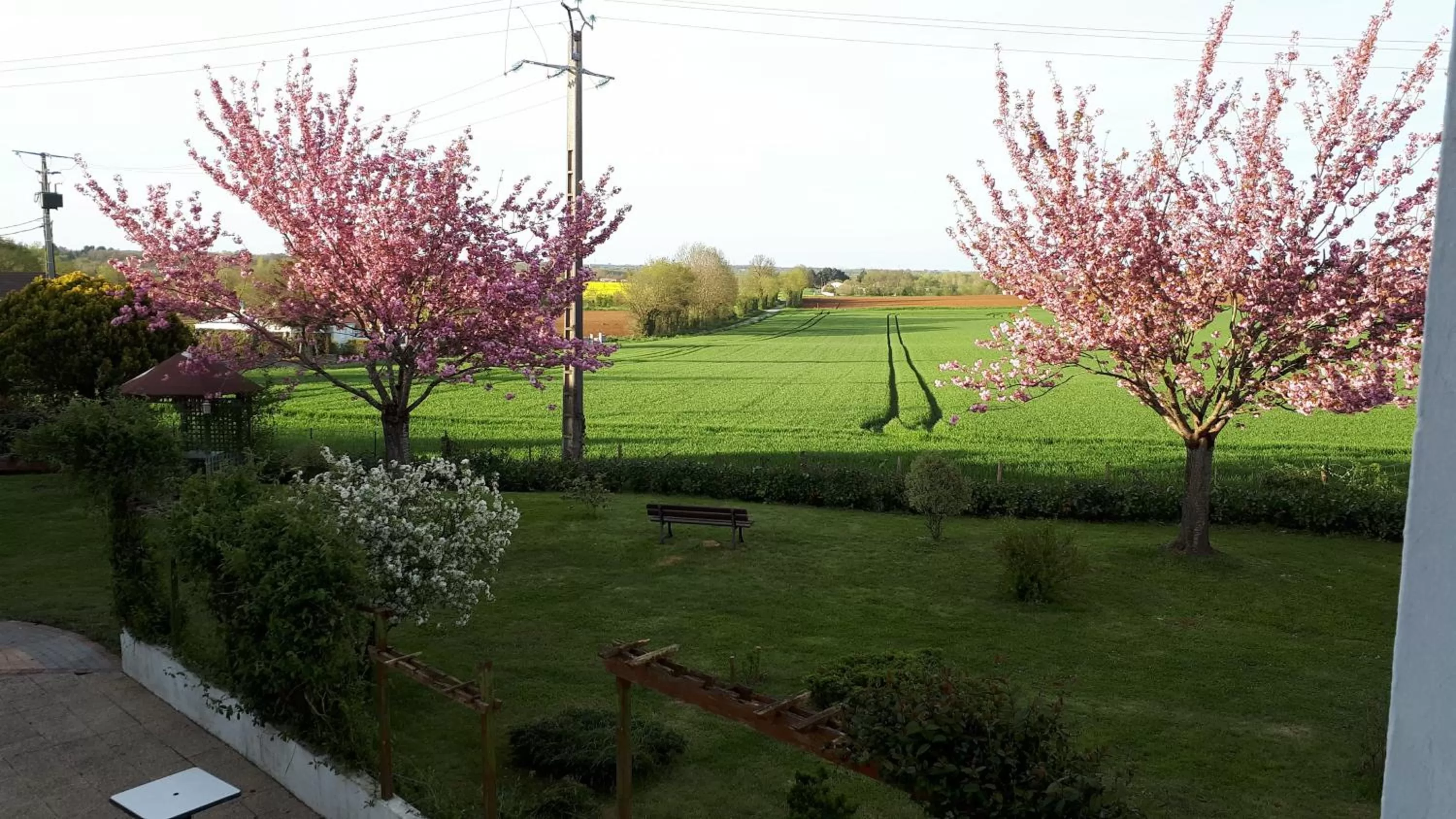 Garden view in Le Mareuillais Hotel-Restaurant