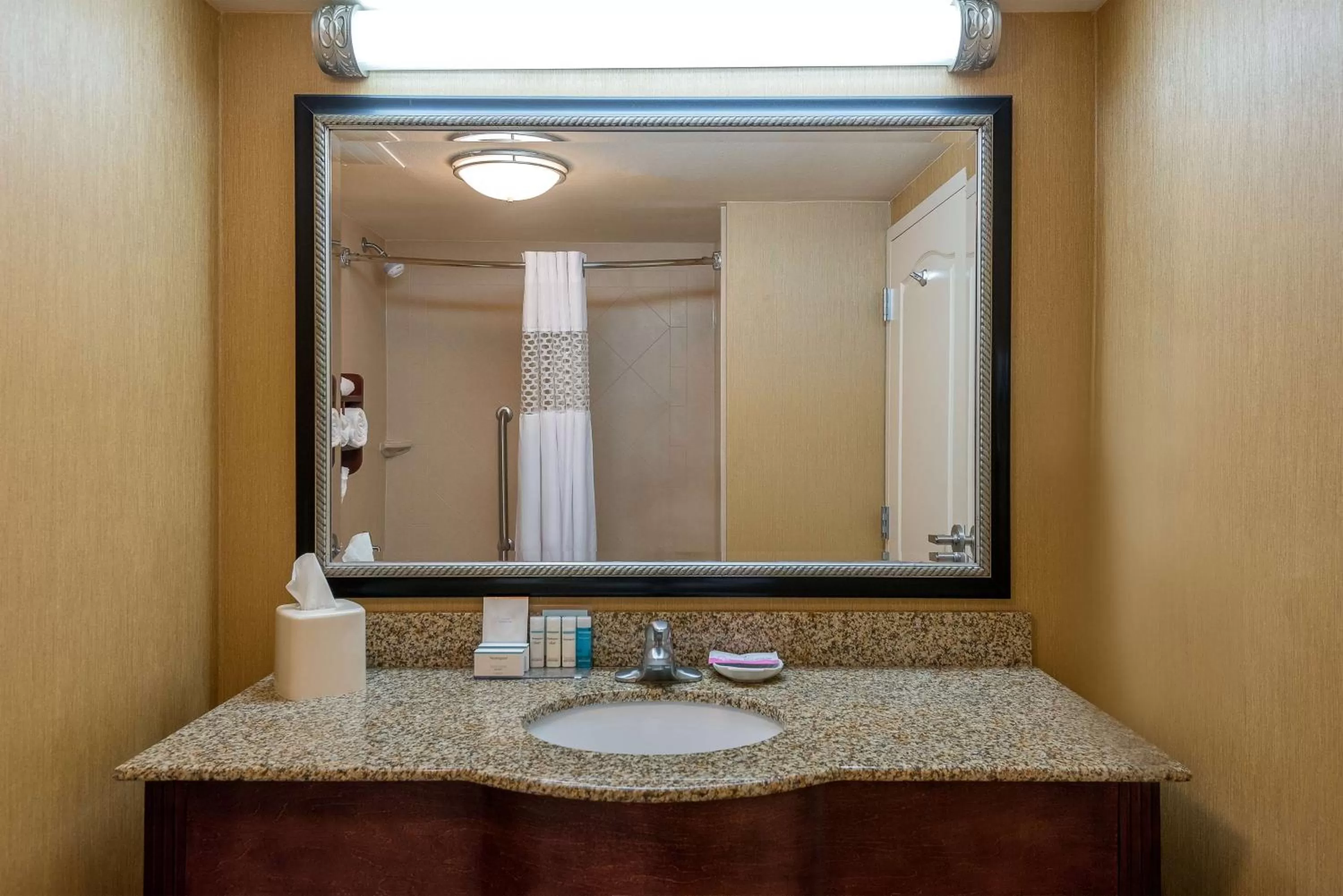 Bathroom in Hampton Inn & Suites Florence-North-I-95