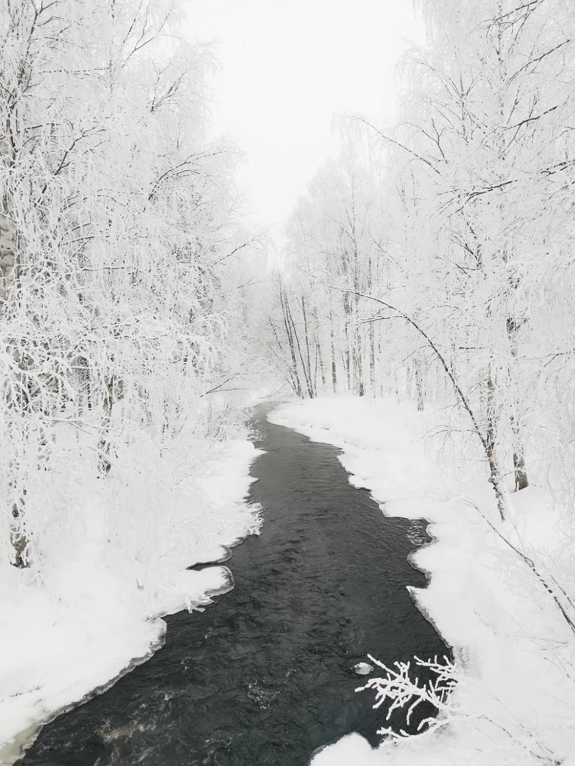 Natural landscape in Apukka Resort