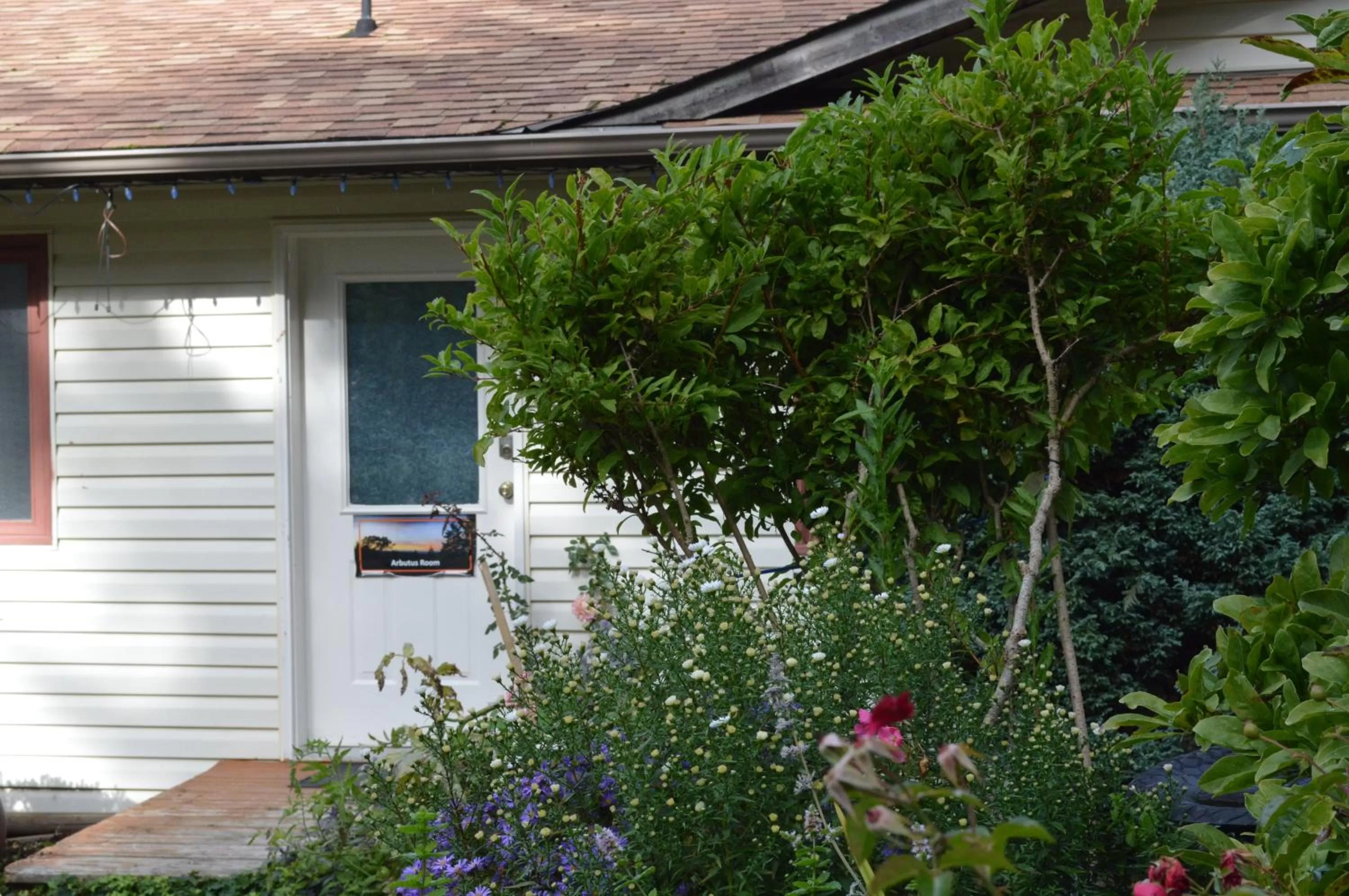 Property building in Armand Heights