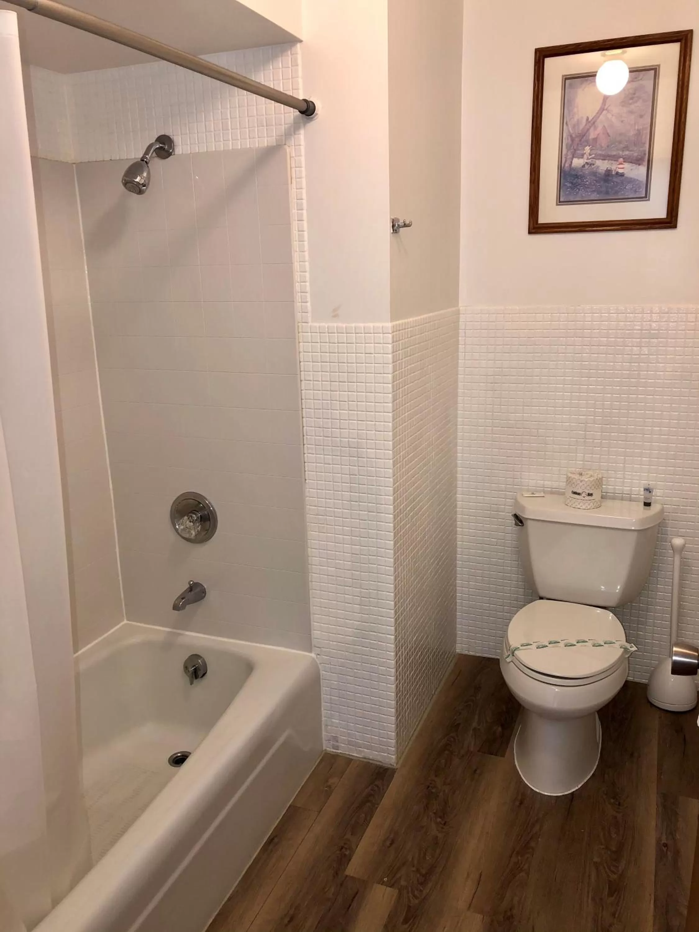 Bathroom in Budget Host Inn