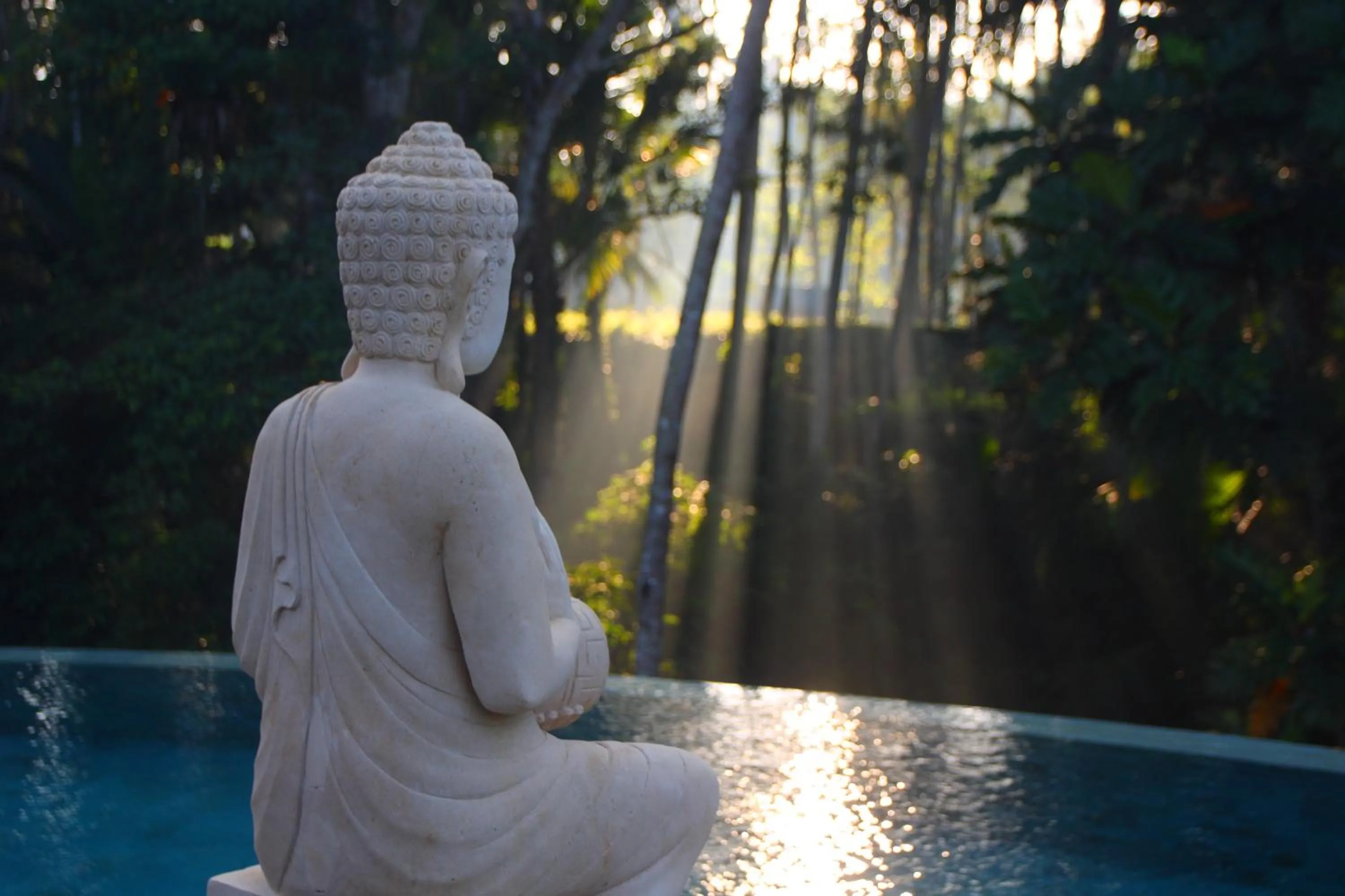 Nearby landmark in BeingSattvaa Luxury Ubud