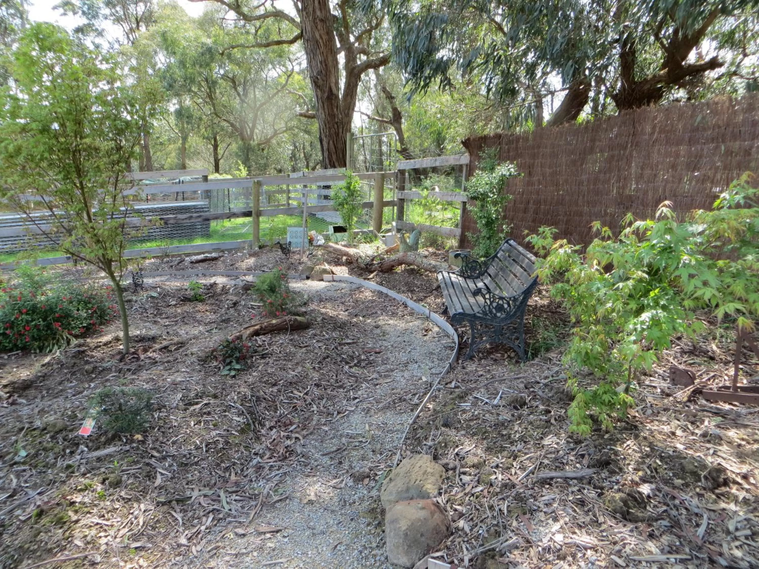 Garden in Honeyeater Cottage