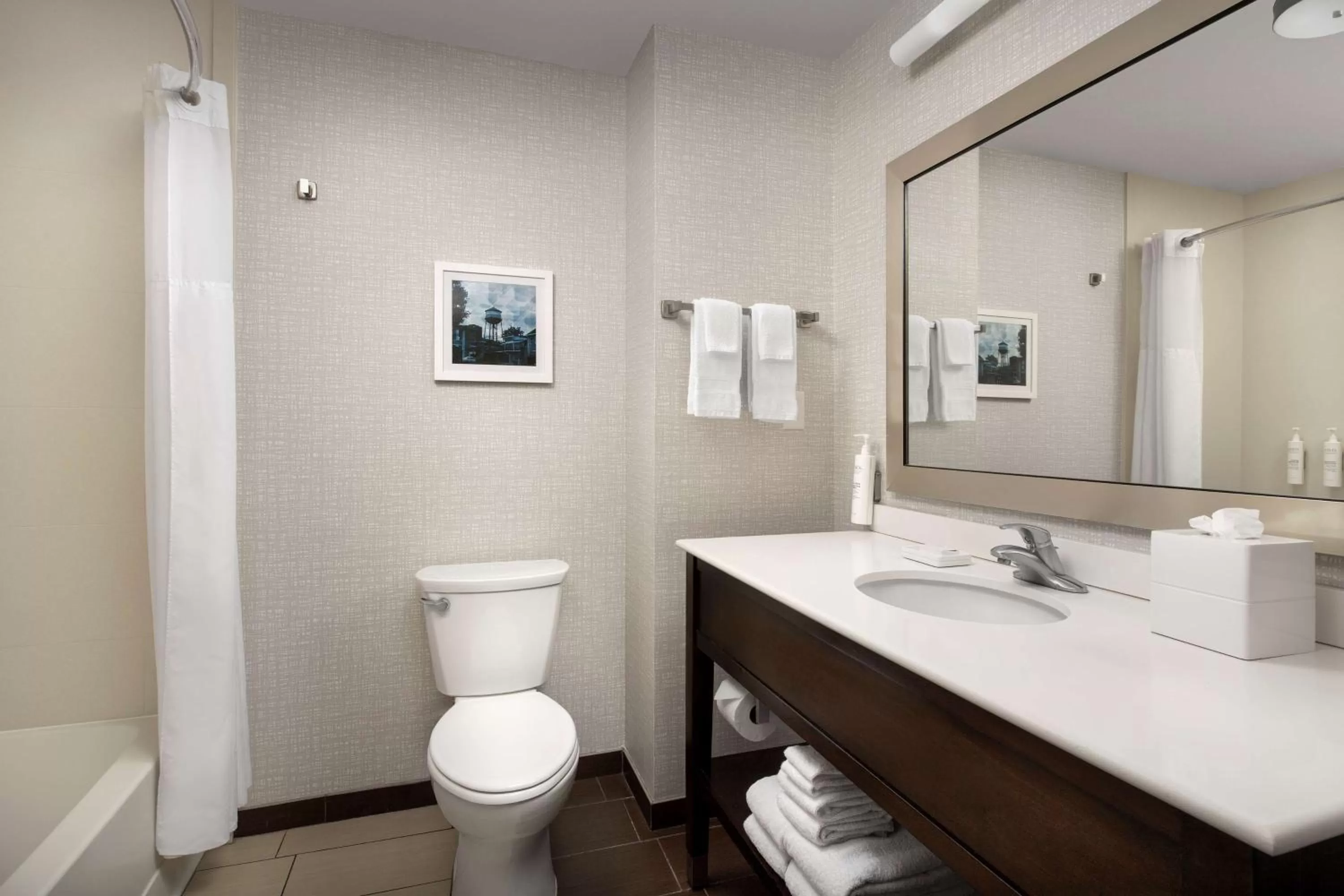 Bathroom in Hampton Inn Knoxville Clinton I-75