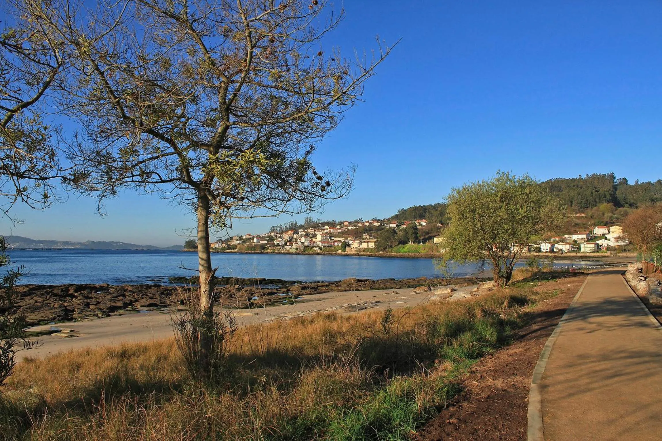 Area and facilities in Villa Covelo