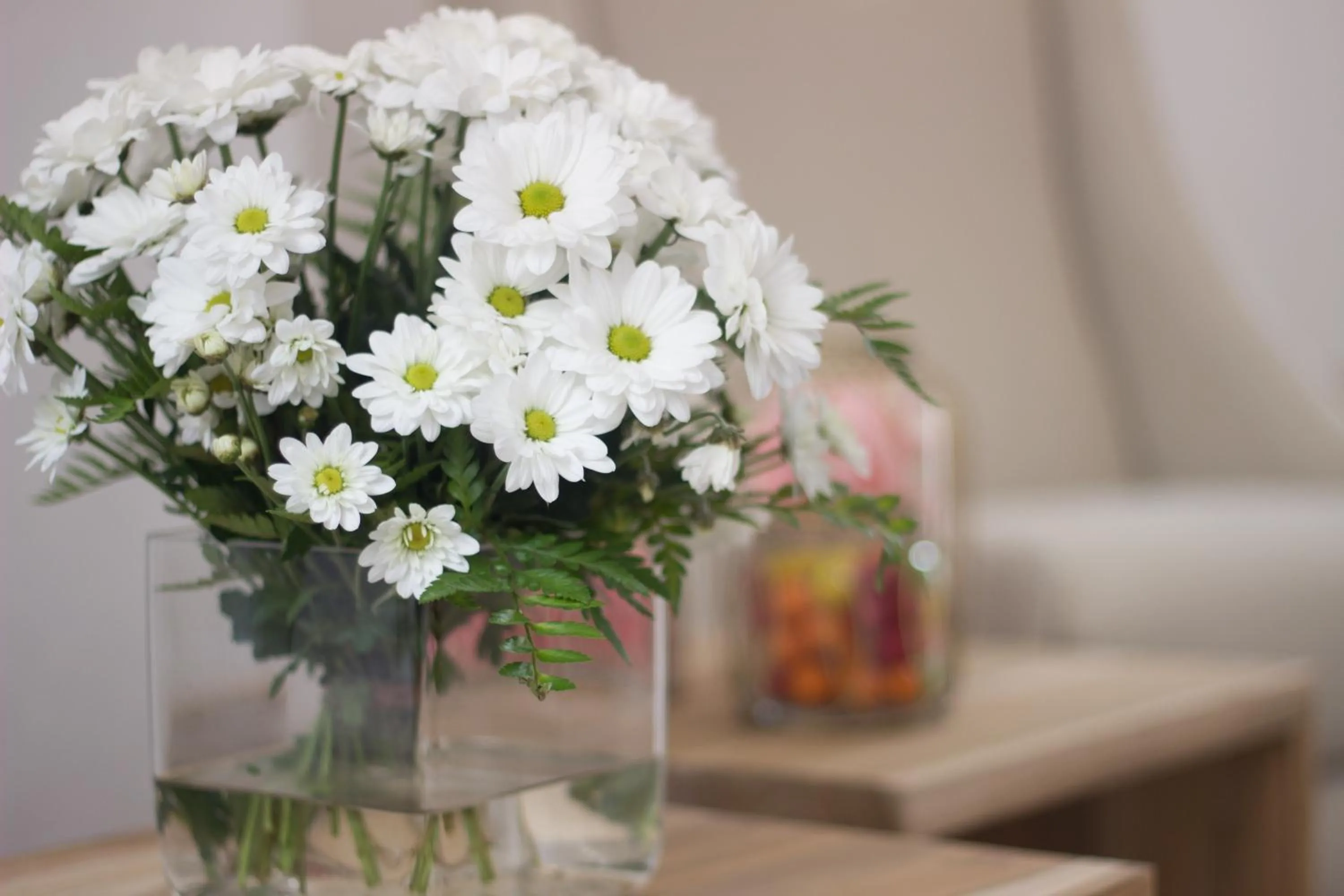 Lobby or reception in S'Hotelet d'es Born - Suites & SPA