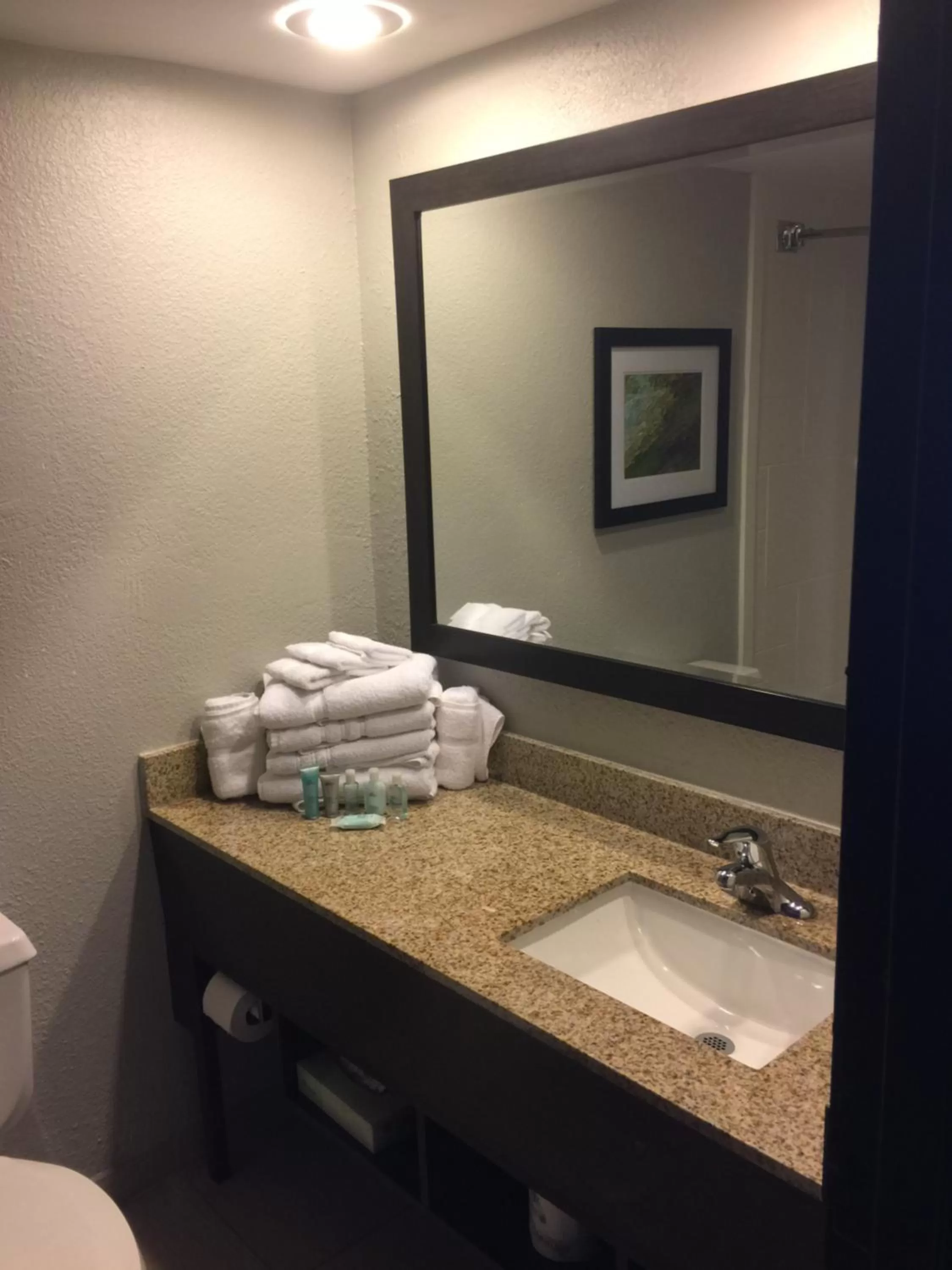 Bathroom in Wyndham Garden Hotel - Jacksonville