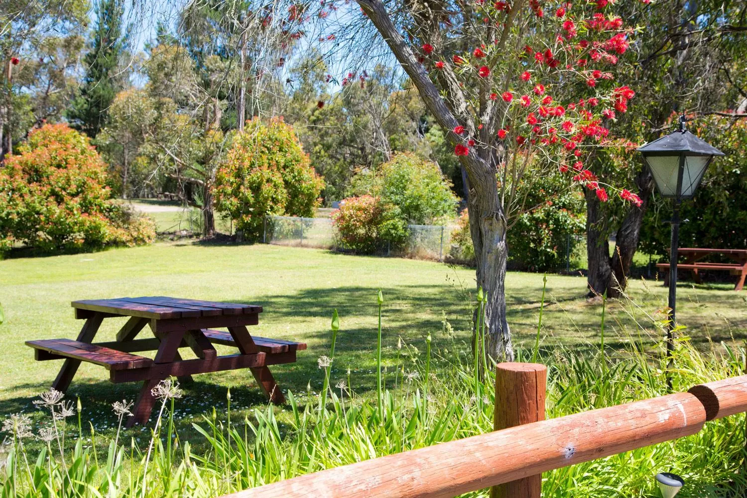 Day in Black Forest Motel