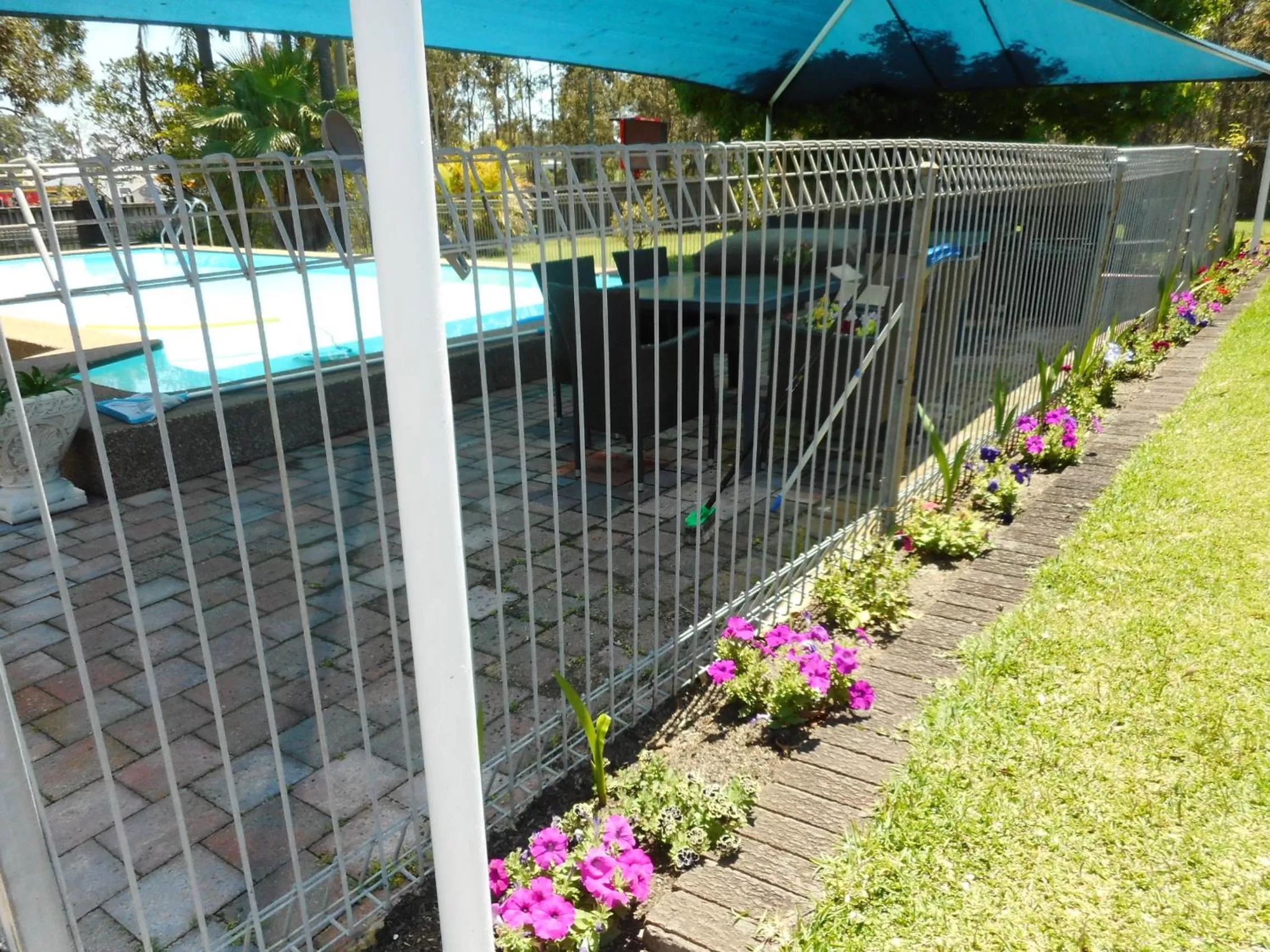 Swimming pool in Molly Morgan Motor Inn