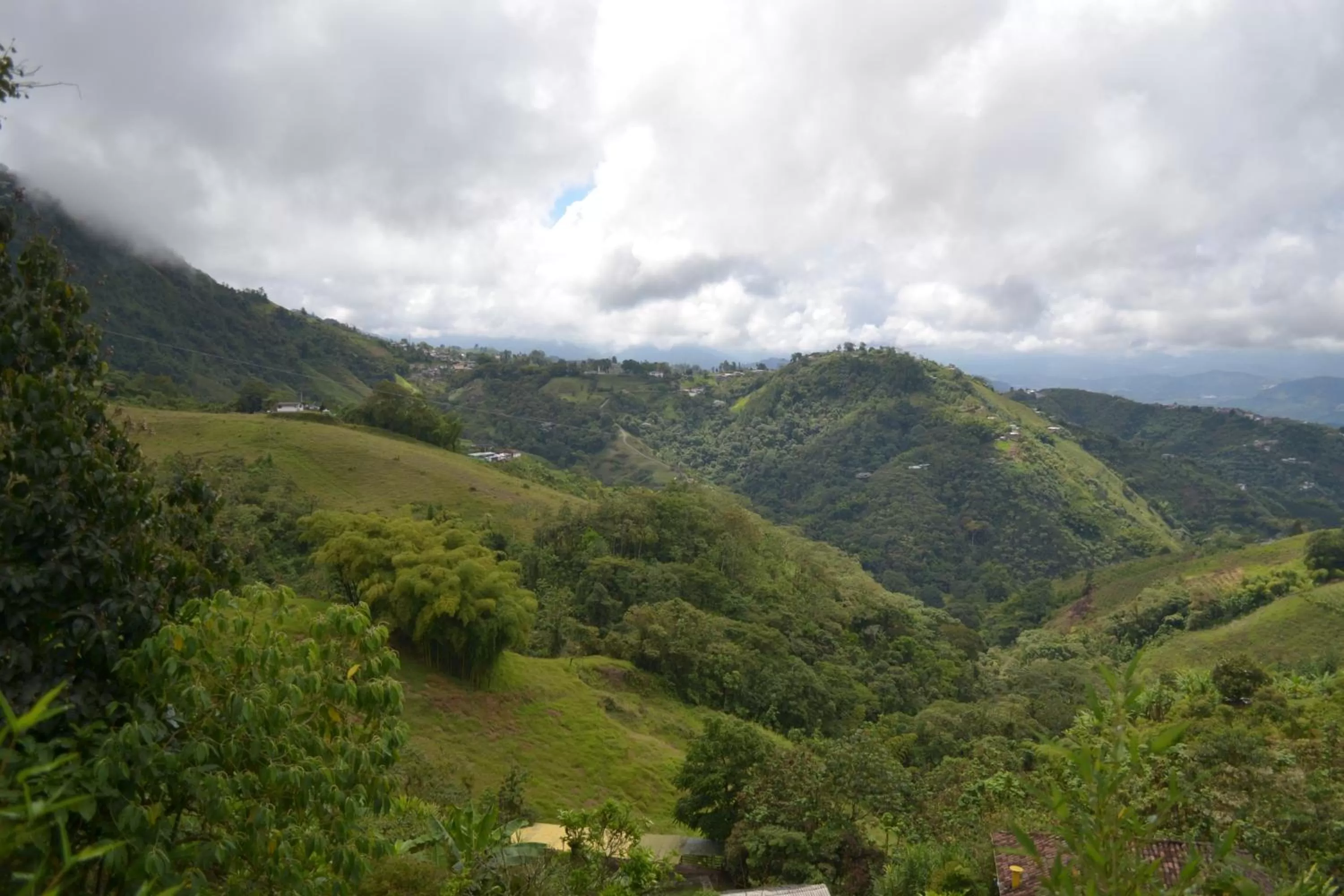 Natural Landscape in Eco Lodge La Juanita