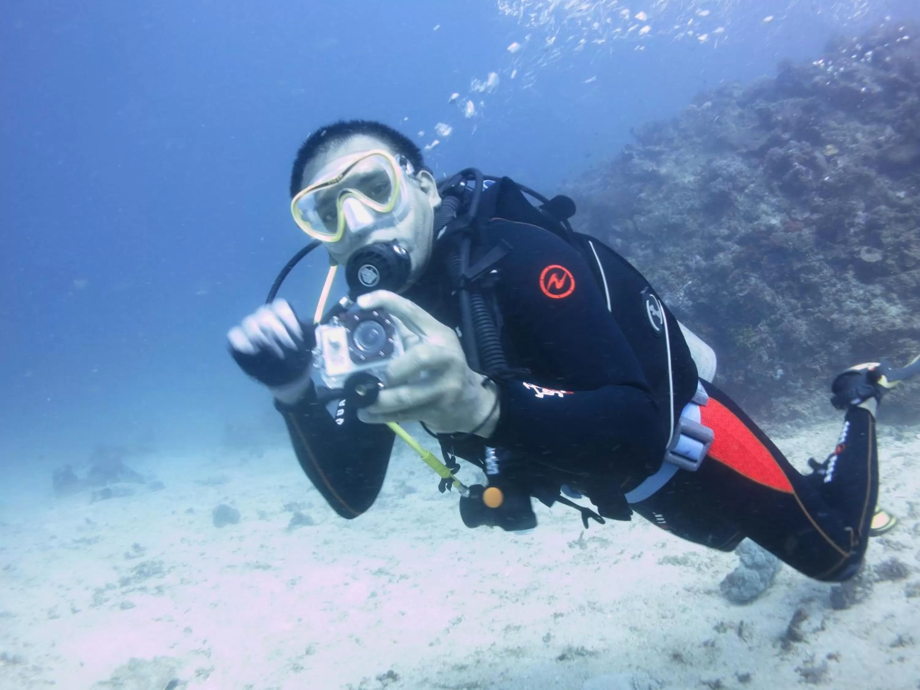 Diving in Paseo Del Mar Seaside Inn