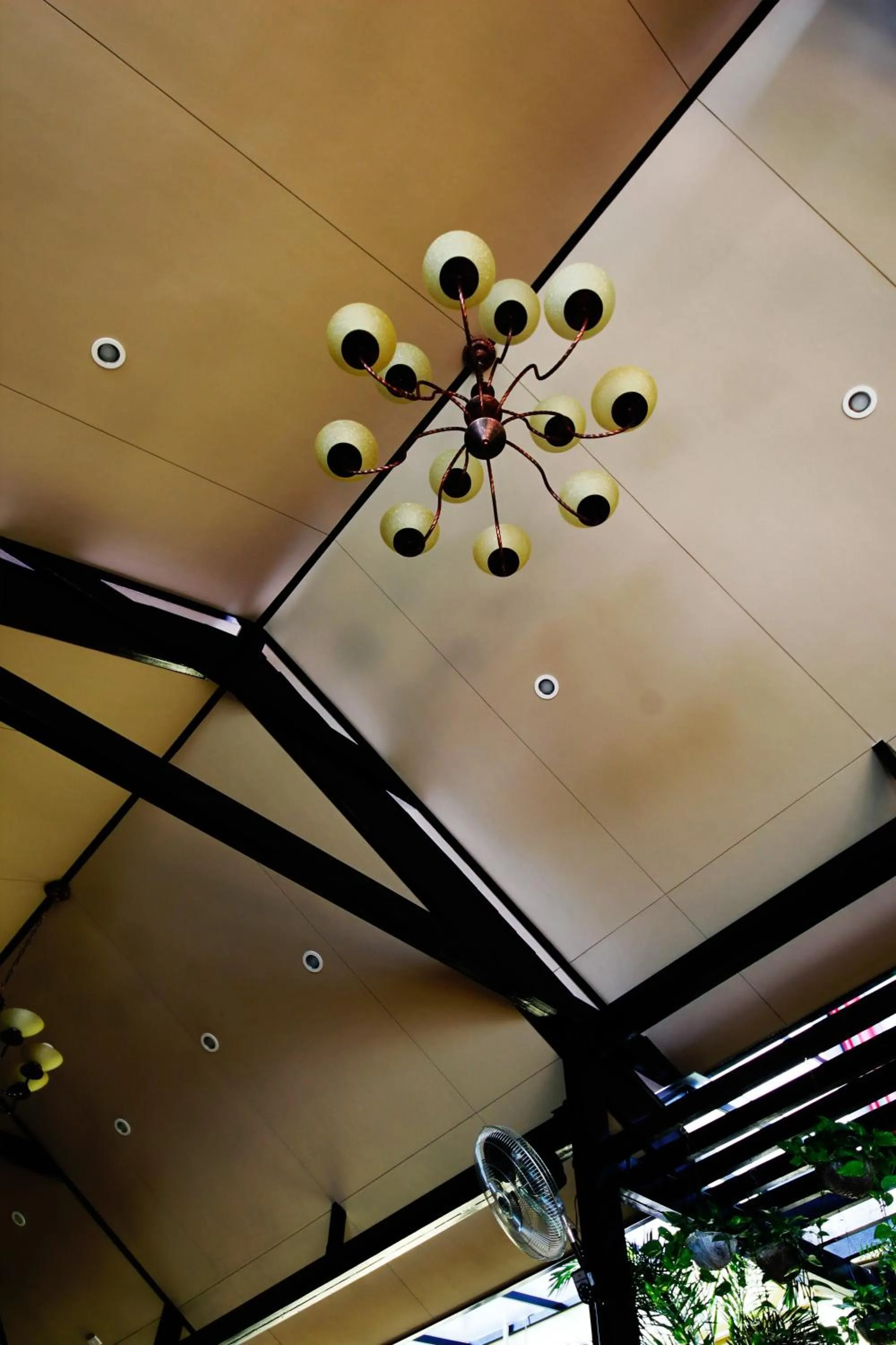 Garden in Casa Pura Inn and Suites