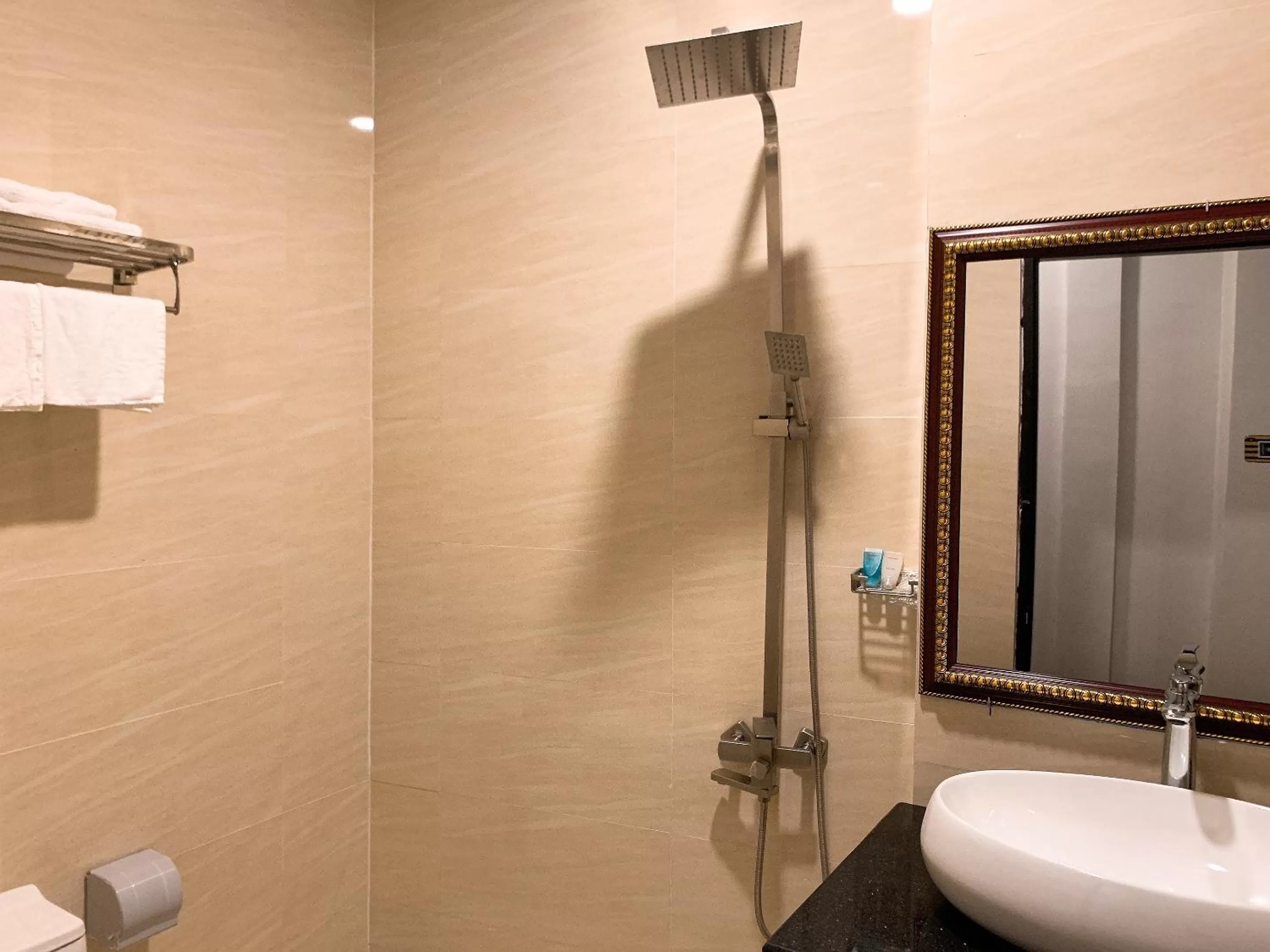 Toilet, Bathroom in LION HOTEL