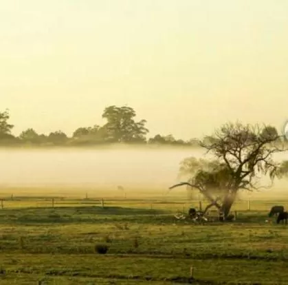 Natural landscape in Orbost Country Man Motor Inn