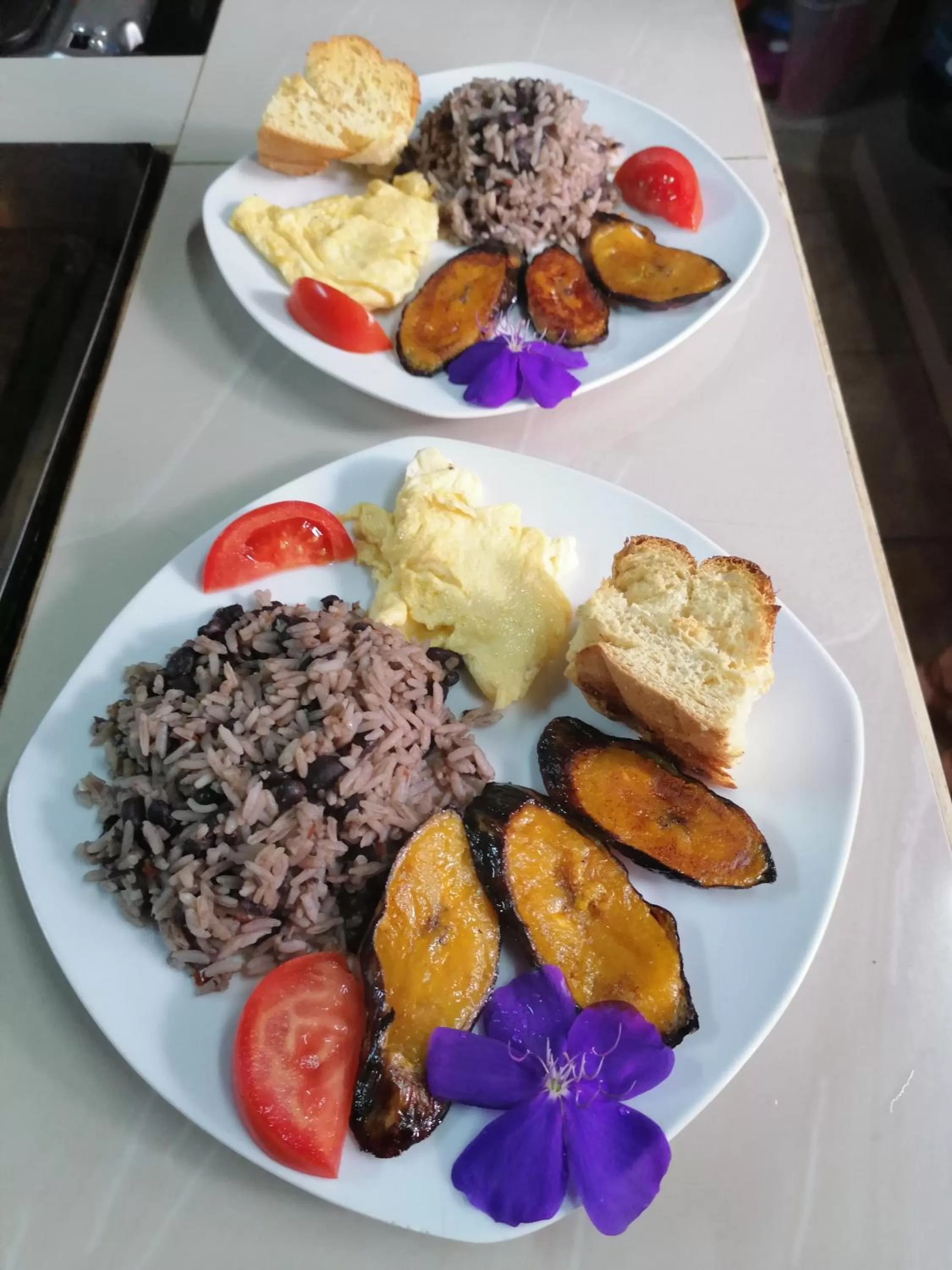 Food and drinks in La Ceiba Tree Lodge