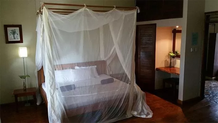 Photo of the whole room in Surjios Guest House