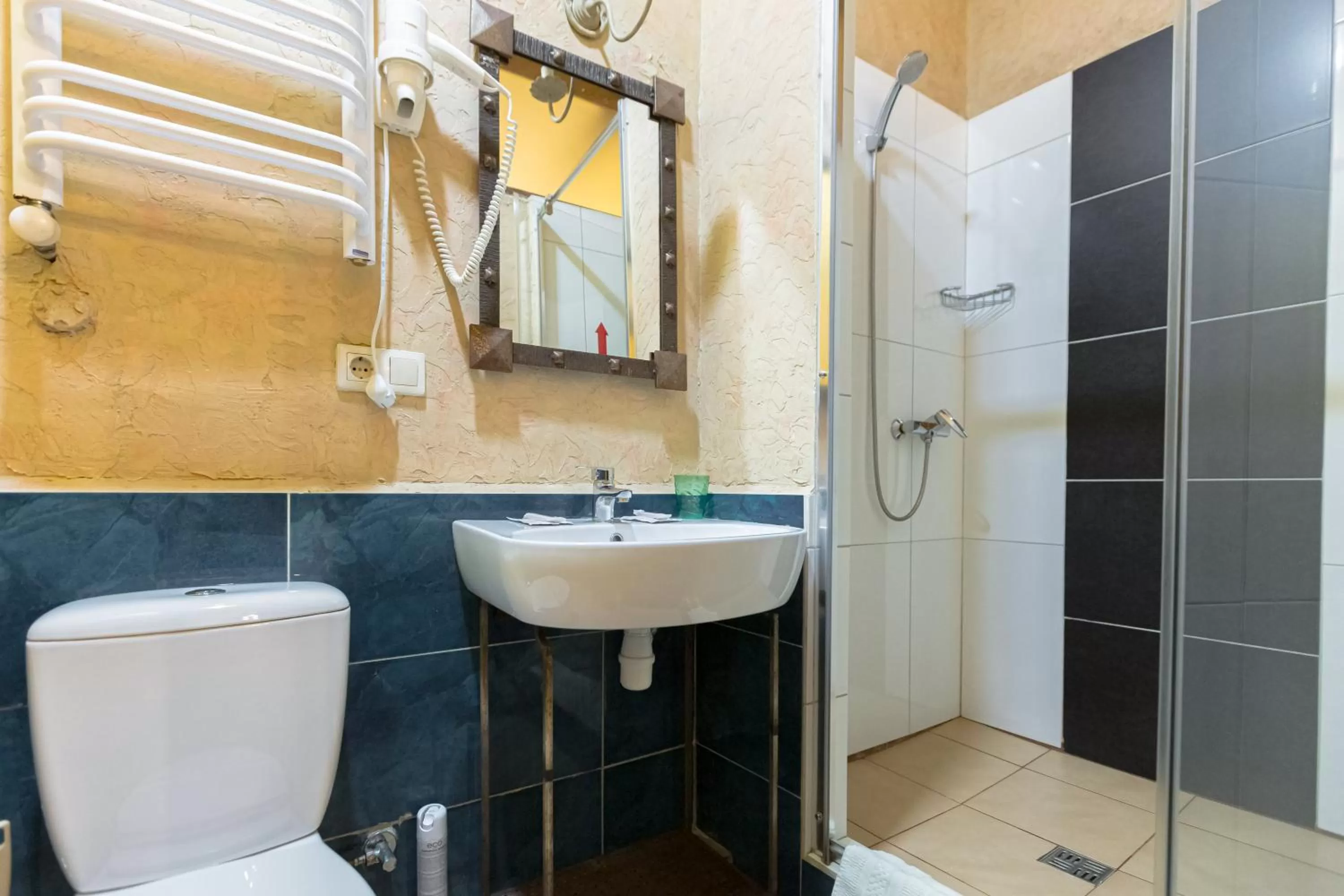 Bathroom in Staryi Krakiv