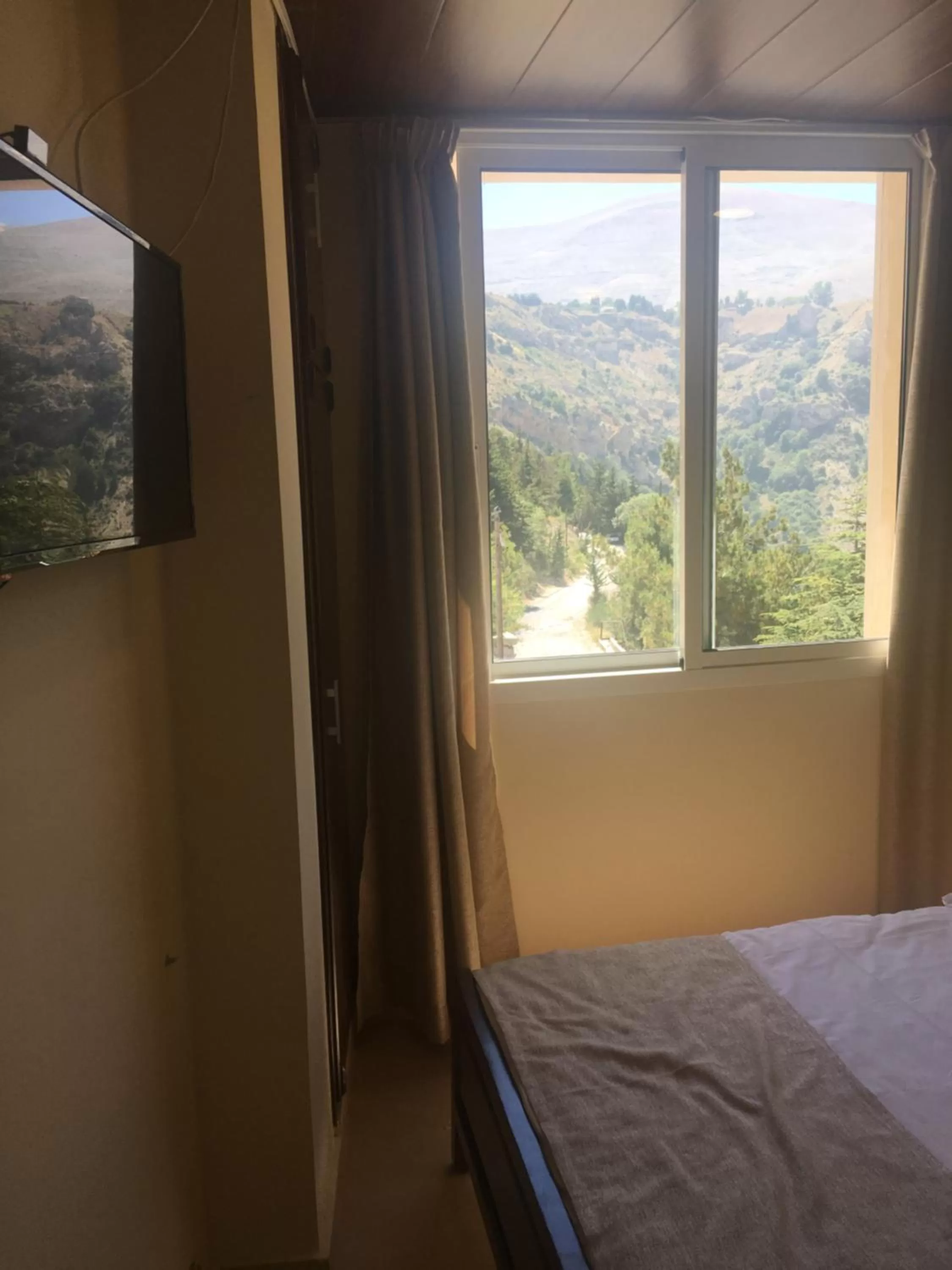 Mountain View in Hotel L'Aiglon